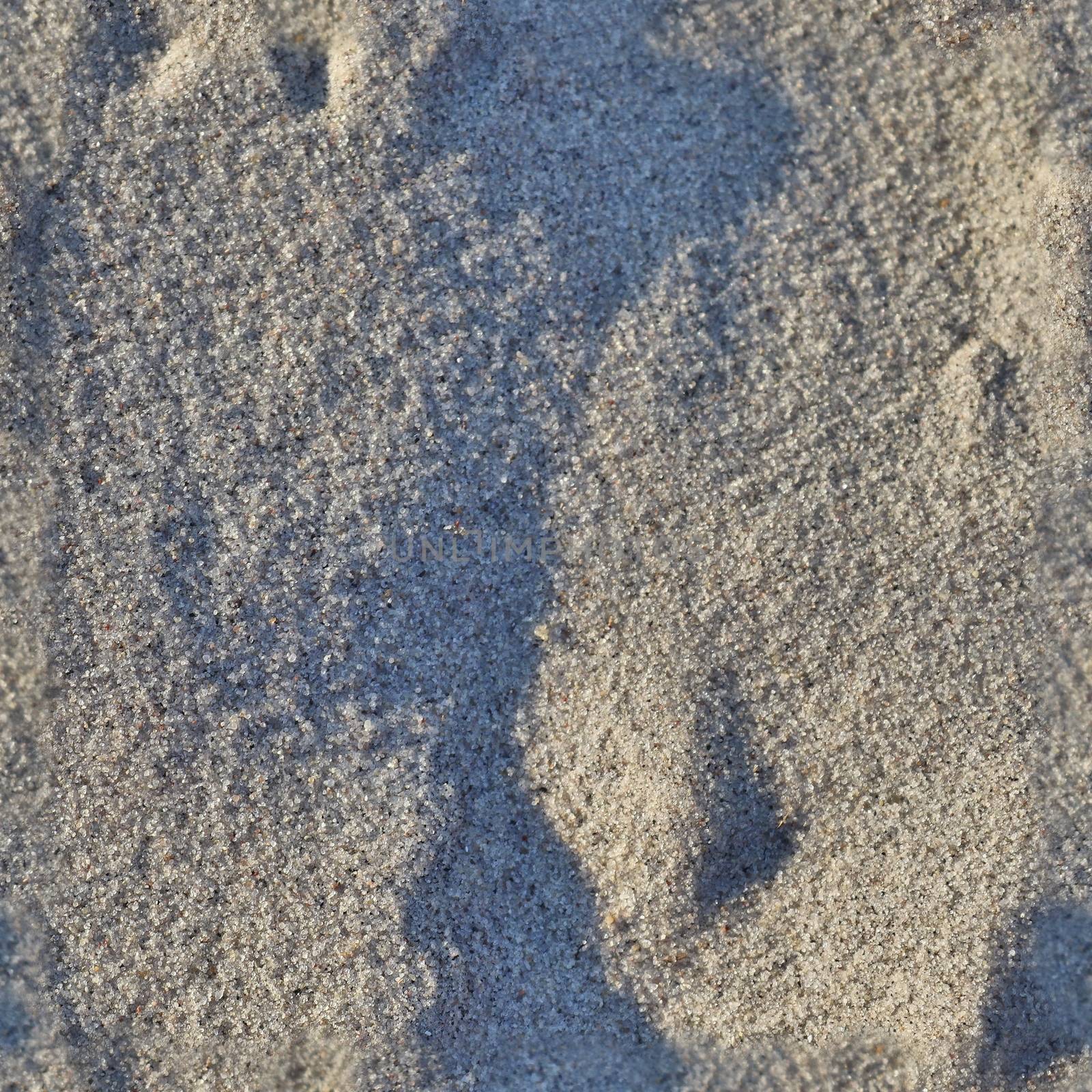 Photo realistic seamless texture pattern of sand at the beach at the baltic sea