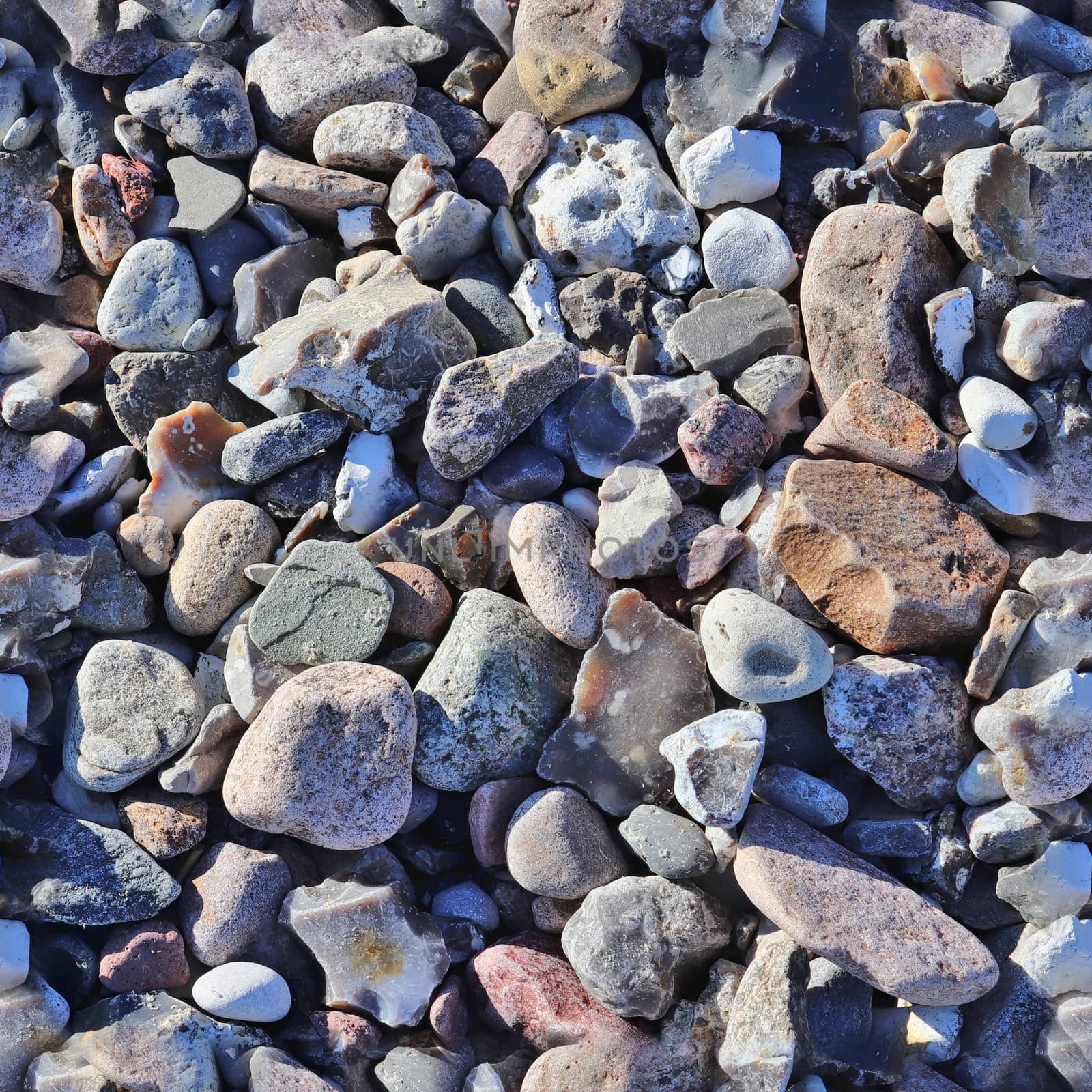 Photo realistic seamless texture pattern of pebbles and stones at a baltic sea beach