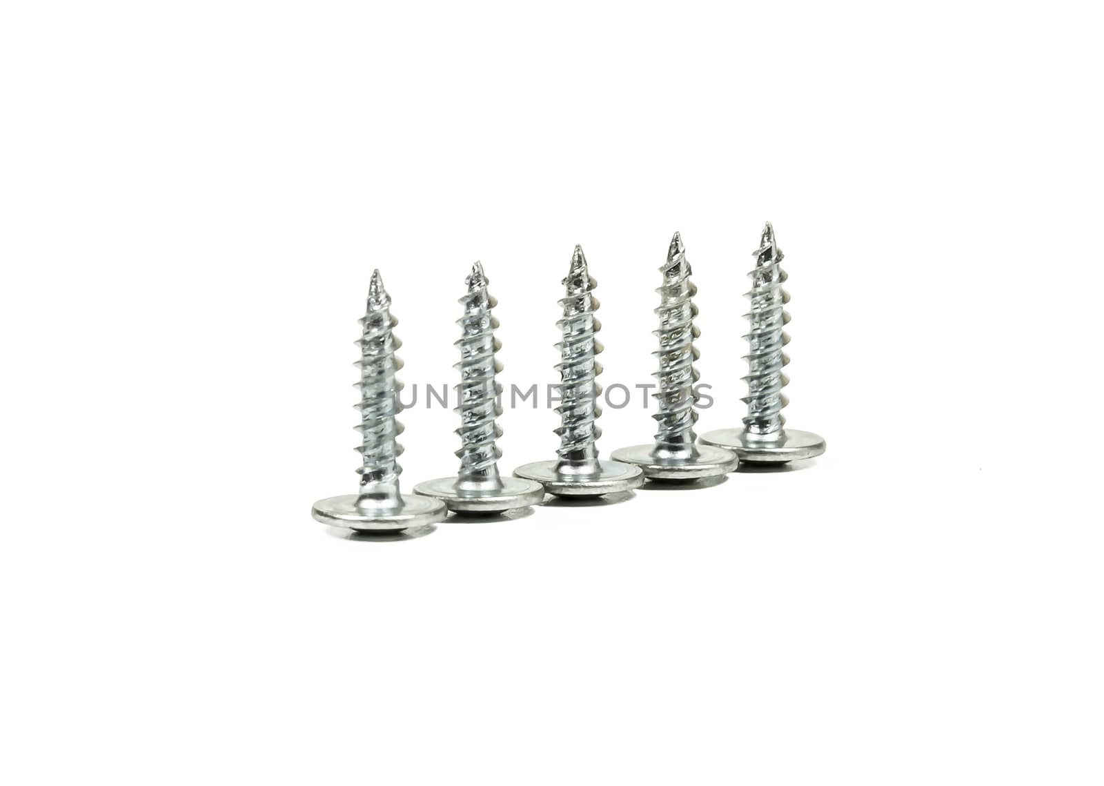 On a light background there are five self-tapping screws of the same size