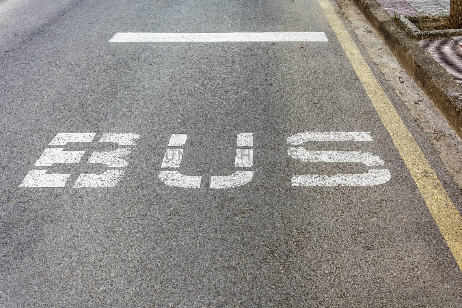 On the roadway of the road there is a marking for the movement of buses