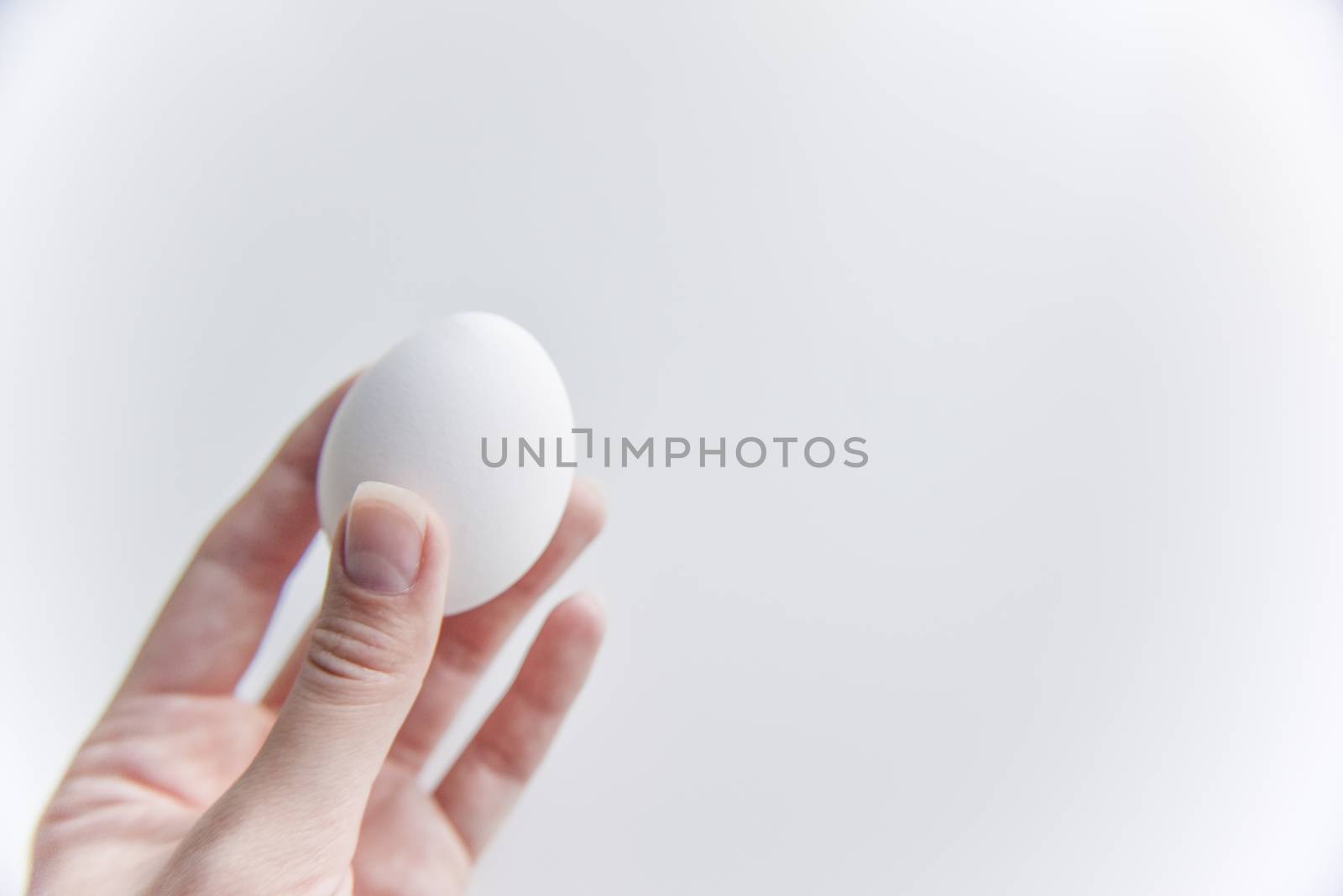 selective focus at the white chicken egg in the hand