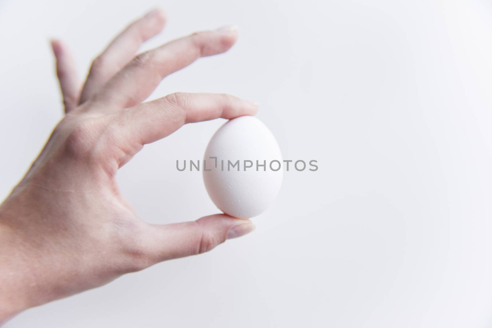 selective focus at the white chicken egg in the hand