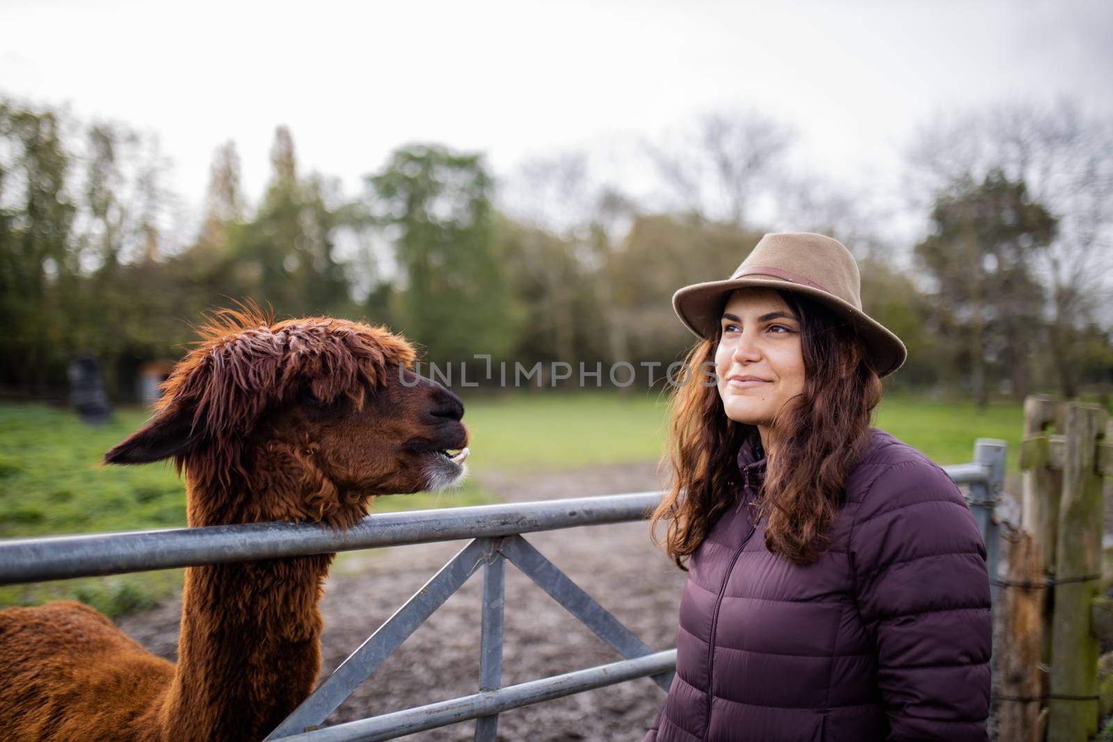 Smiling brunette woman wearing a hat, looking at the distance and standing next to a brown alpaca behind a metal fence, with a blurry forest as background