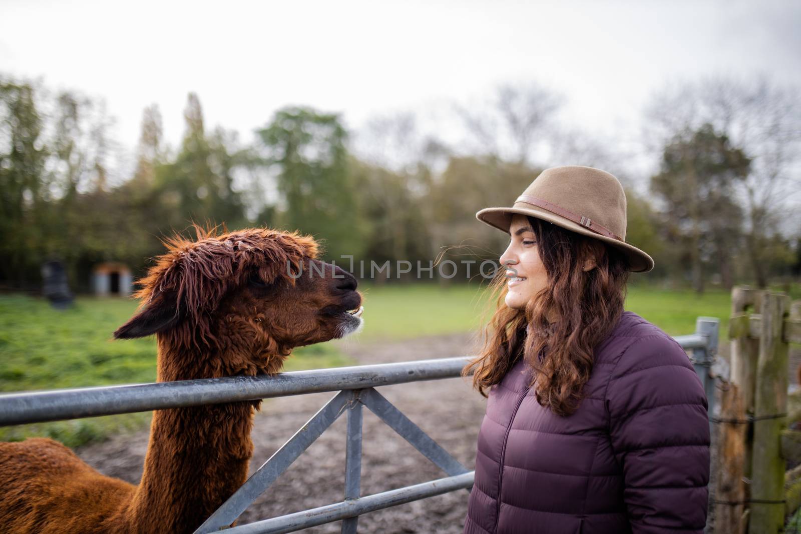 Smiling brunette woman wearing a hat looking at the brown alpaca next to her, with a blurry forest and cloudy sky as background