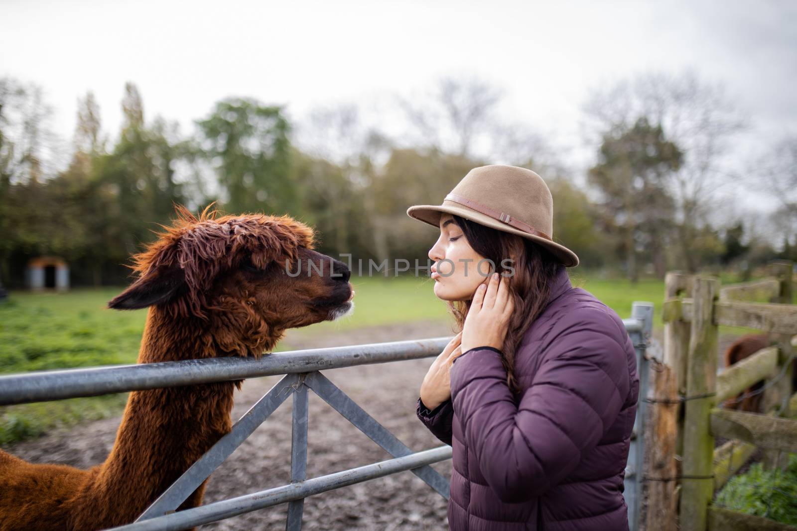 Brunette woman wearing a hat pretending to kiss a brown alpaca behind a metal and wood fence at a farmyard, with a forest as background