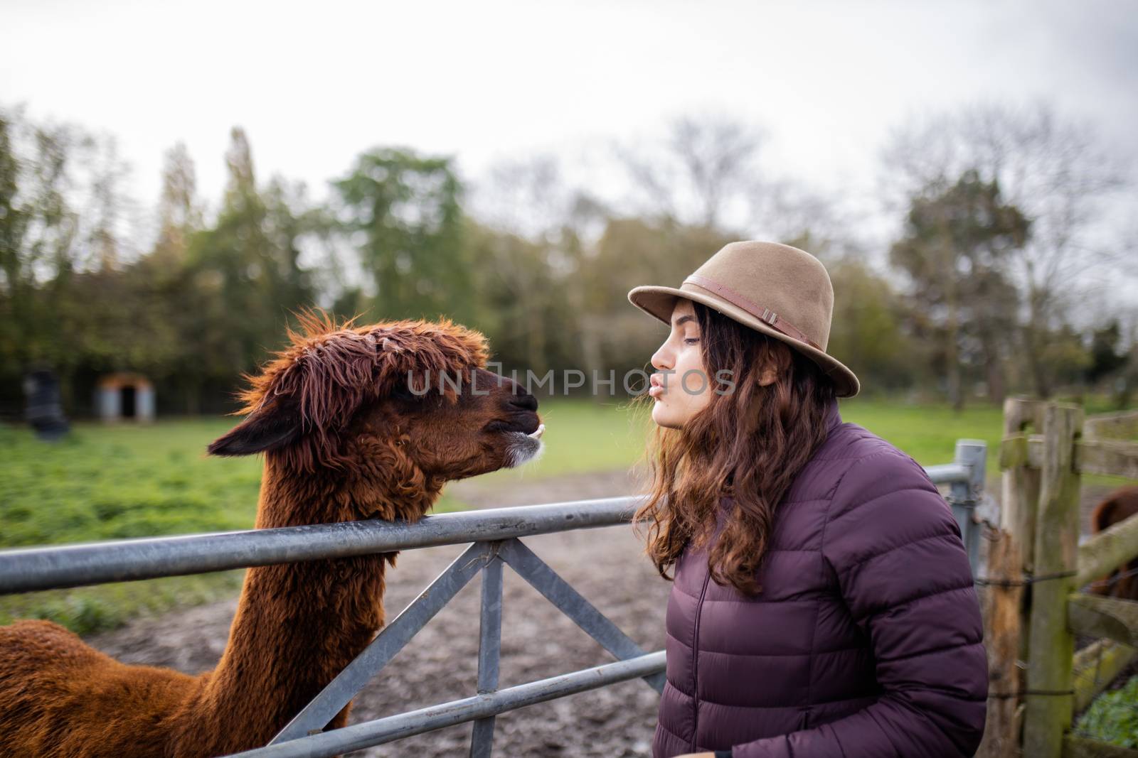 Brunette woman wearing a hat pretending to kiss a brown alpaca behind a metal and wood fence at a farmyard, with a forest as background