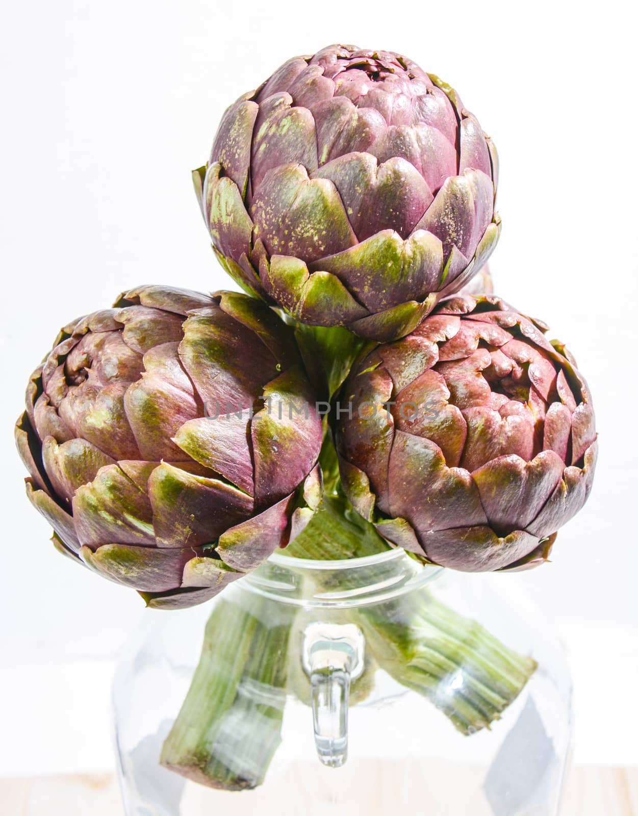 artichokes of the Italian countryside