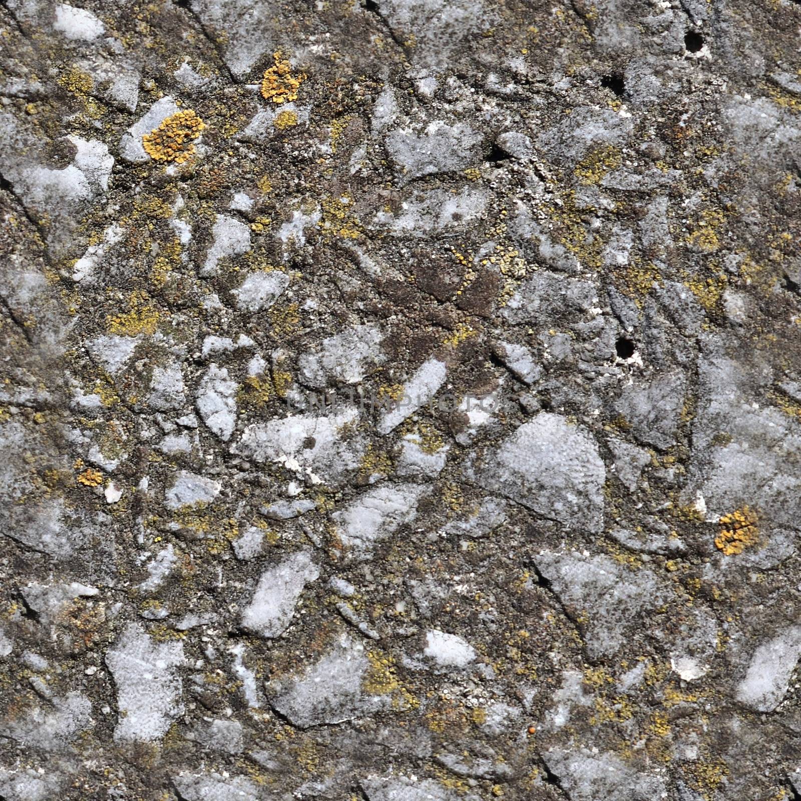 Detailed seamless texture of asphalt on a street in high resolut by MP_foto71