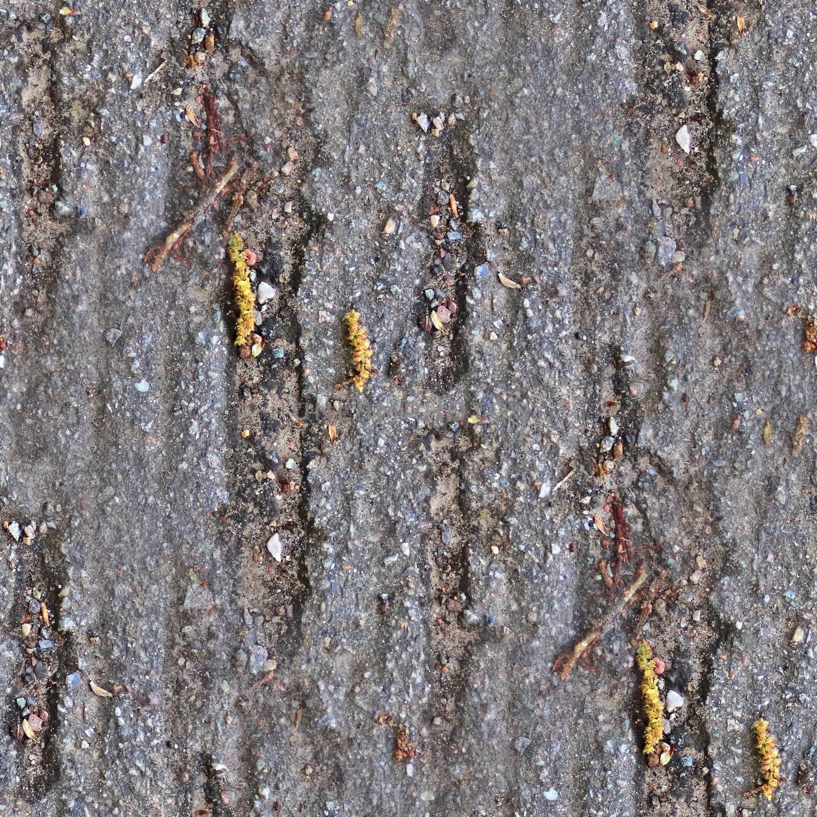 Detailed seamless texture of asphalt on a road in high resolution