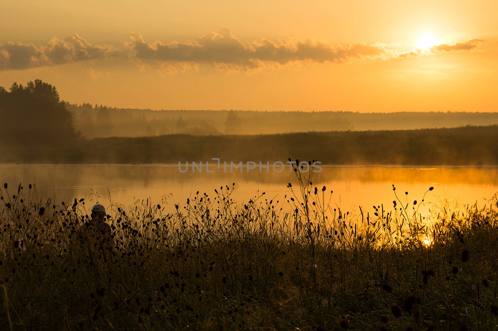 A fisherman at sunset on the pond catches fish.