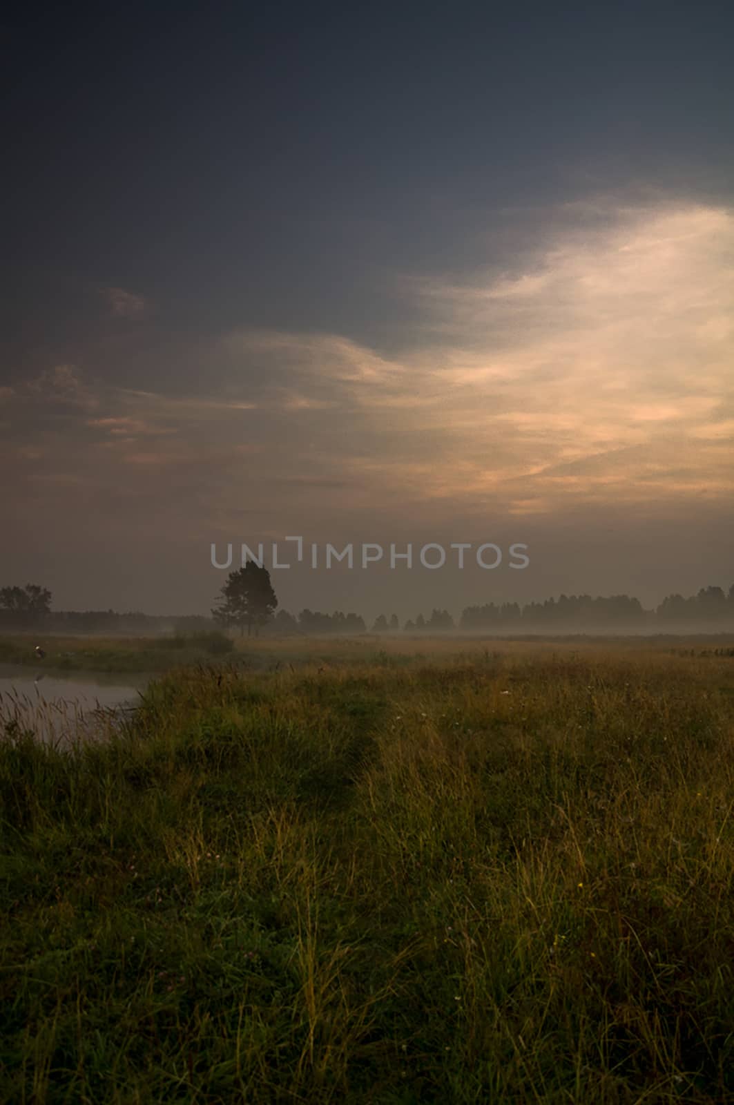 Dawn over the shore of pond. Morning rays of the sun over the pond. by DePo