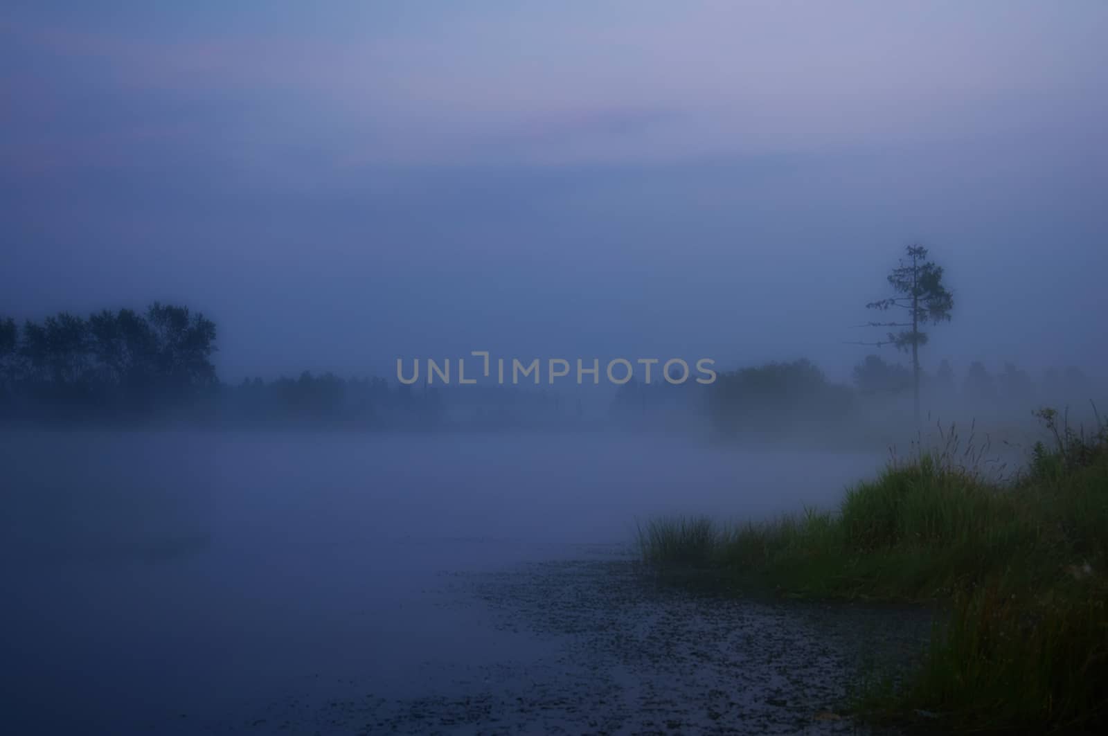 Smoke of mist over the pond. morning mist over the pond.