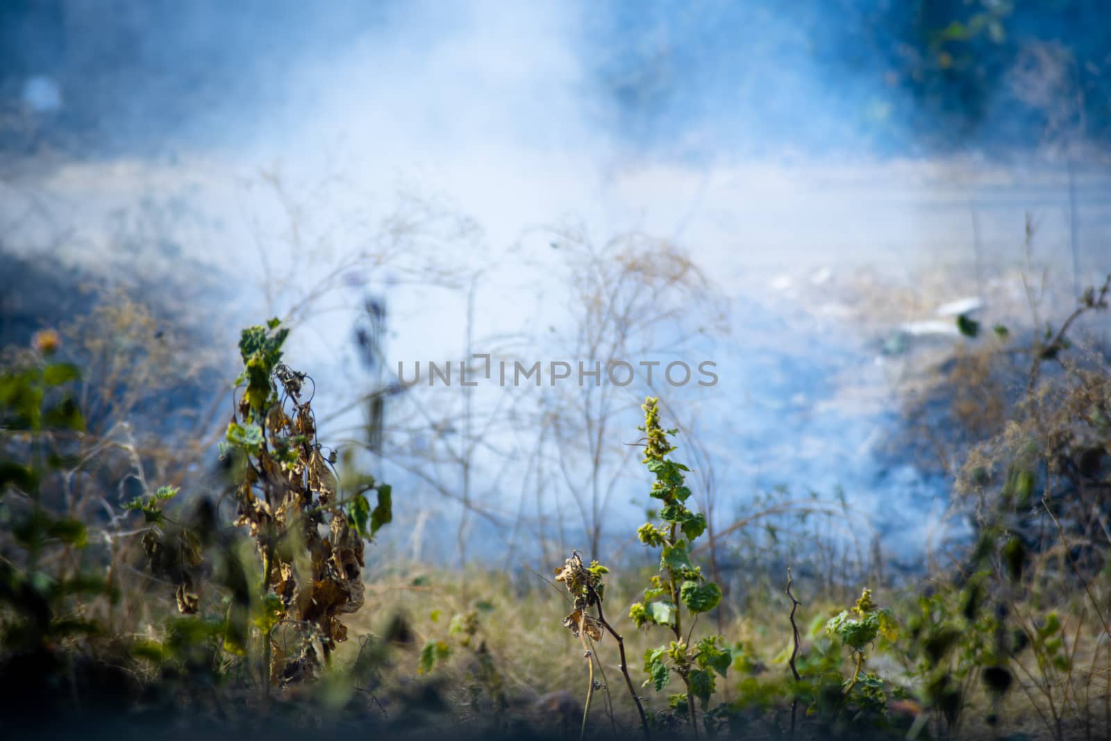 shot of crops thrash garbage being burnt on the side of a road and causing pollution with smoke and dust in the air of delhi jaipur and more reducing the air quality by Shalinimathur