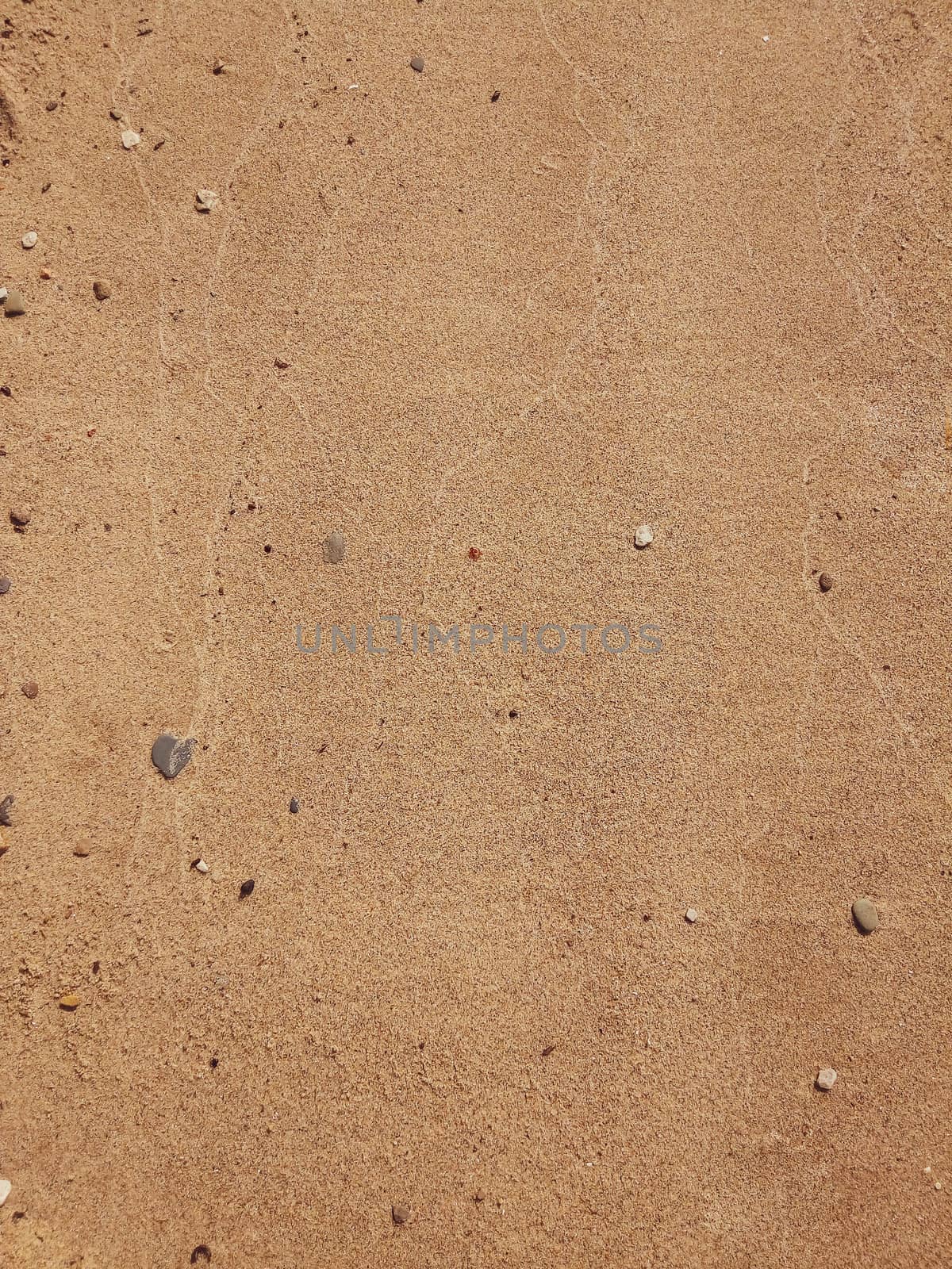 Sand Texture. Brown sand. Background from fine sand. Sand background by lapushka62