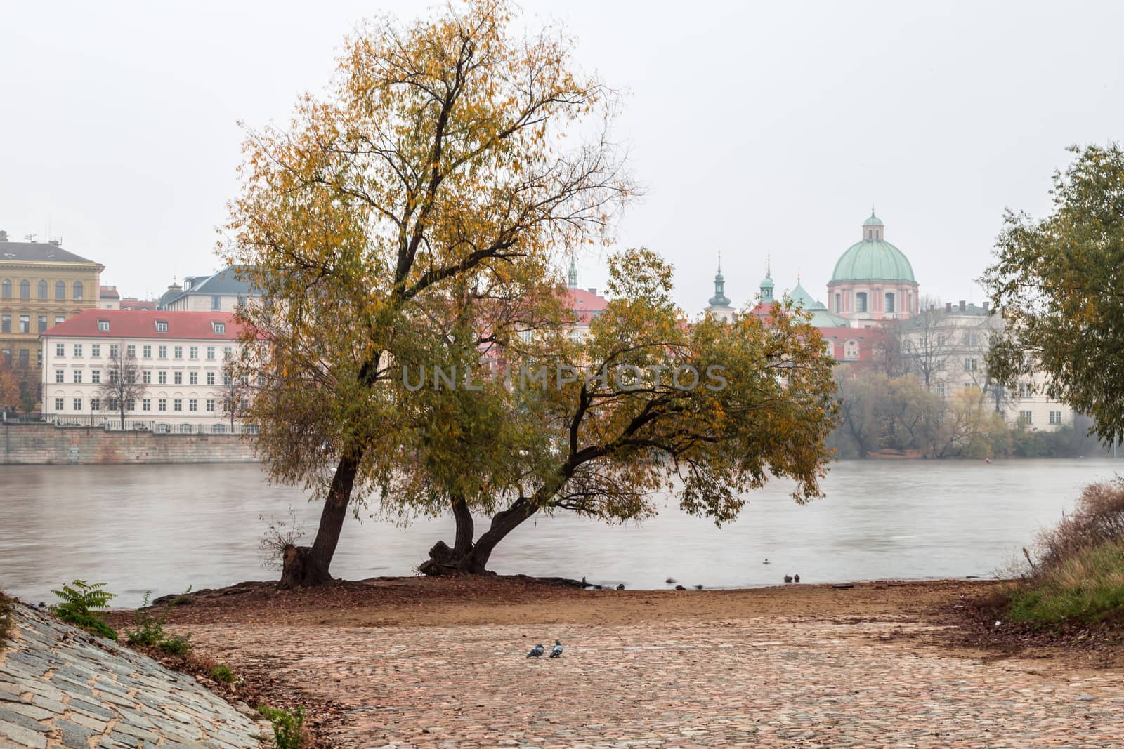 Autumn dawn in historic Prague at Charles Bridge over the Vltava River. Prague, ENESCO monument, Czech Republic