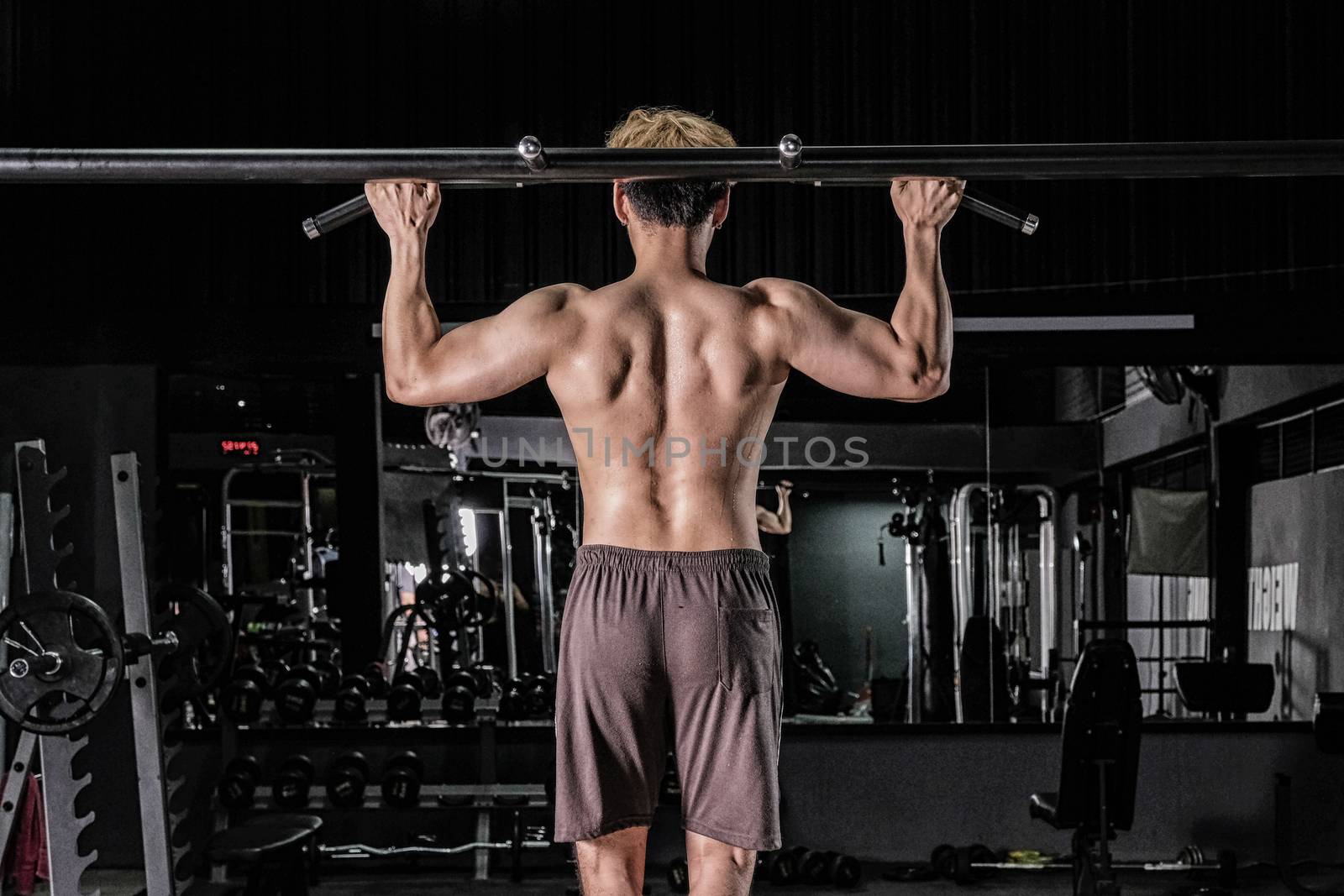 Strong fitness man doing arm workout in the gym