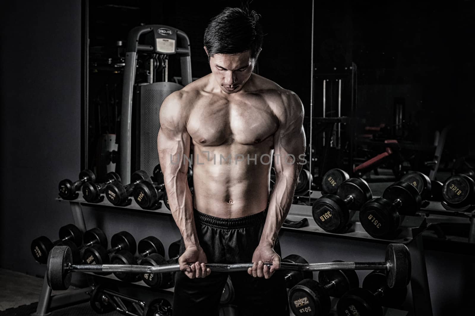 Strong fitness man doing arm workout with barbells in the gym