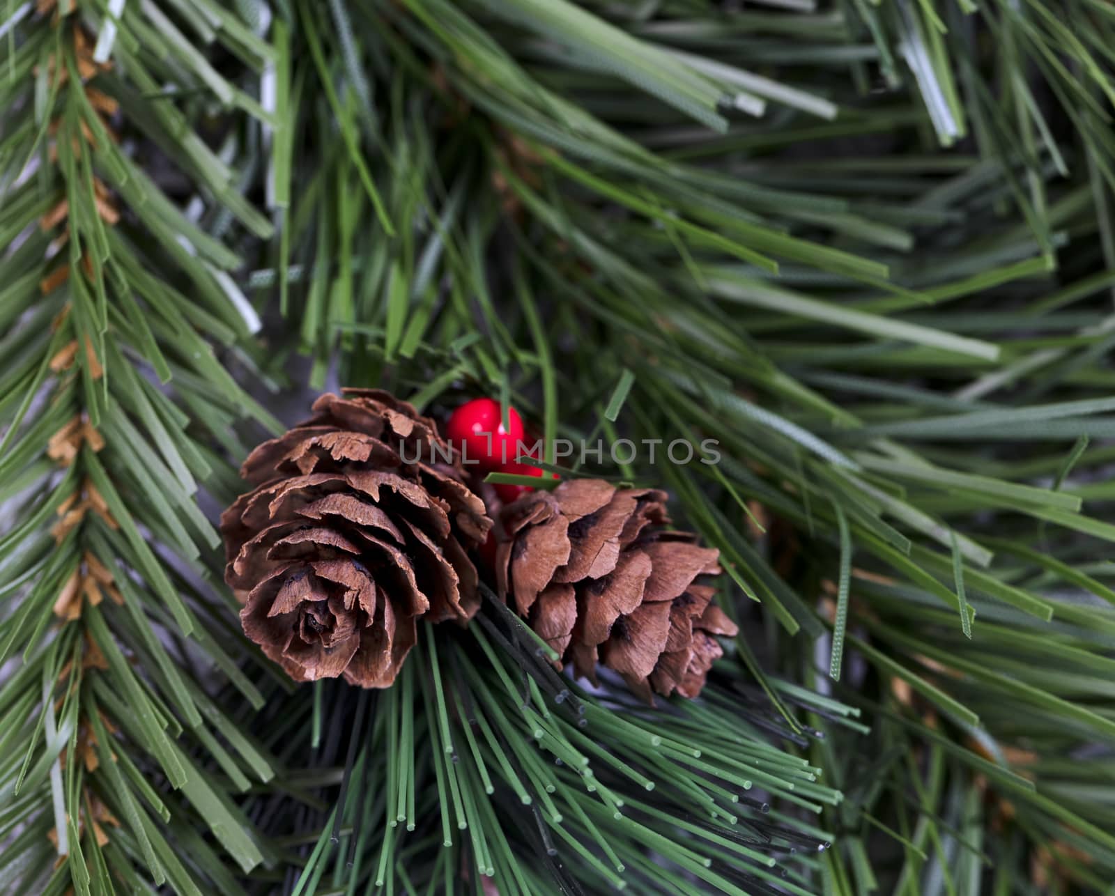 Close up of artificial pine cones and red berries surrounded eve by tab1962
