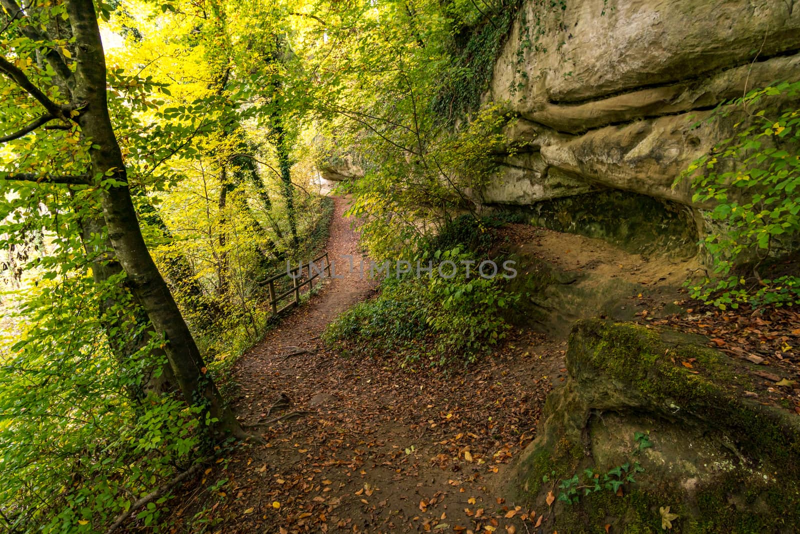 Fantastic autumn hike along the Aachtobel to the Hohenbodman observation tower by mindscapephotos