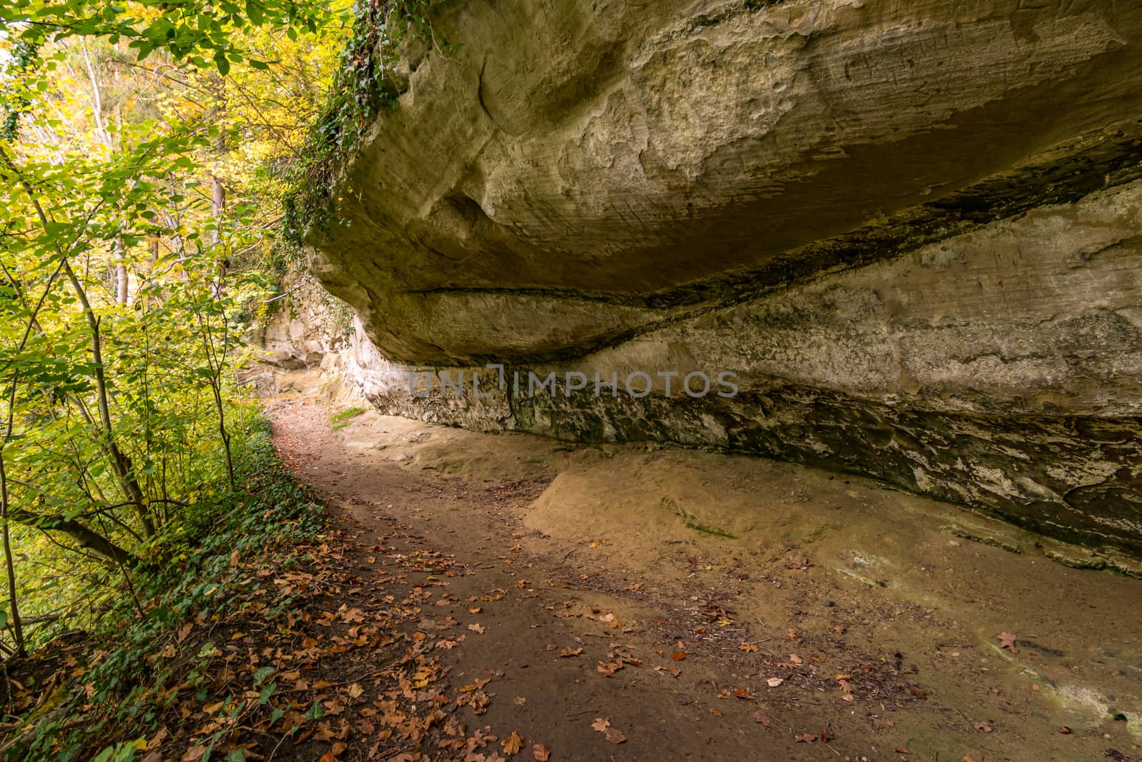 Fantastic autumn hike along the Aachtobel to the Hohenbodman observation tower by mindscapephotos