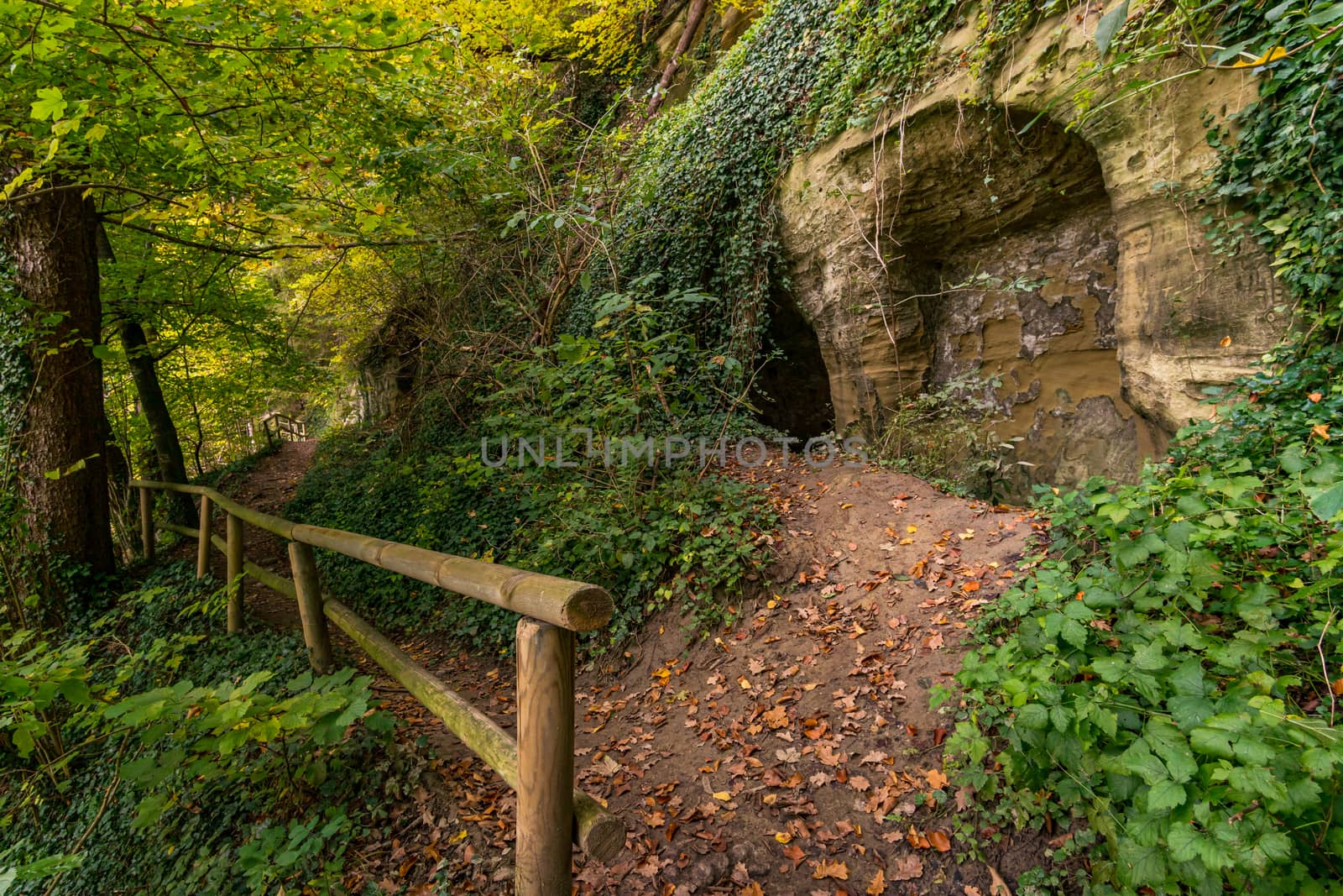 Fantastic autumn hike along the Aachtobel to the Hohenbodman observation tower by mindscapephotos