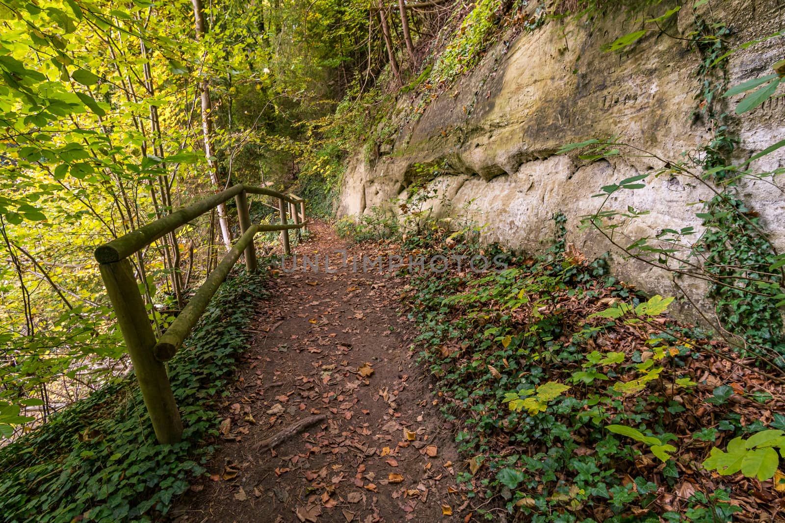 Fantastic autumn hike along the Aachtobel to the Hohenbodman observation tower near Lake Constance