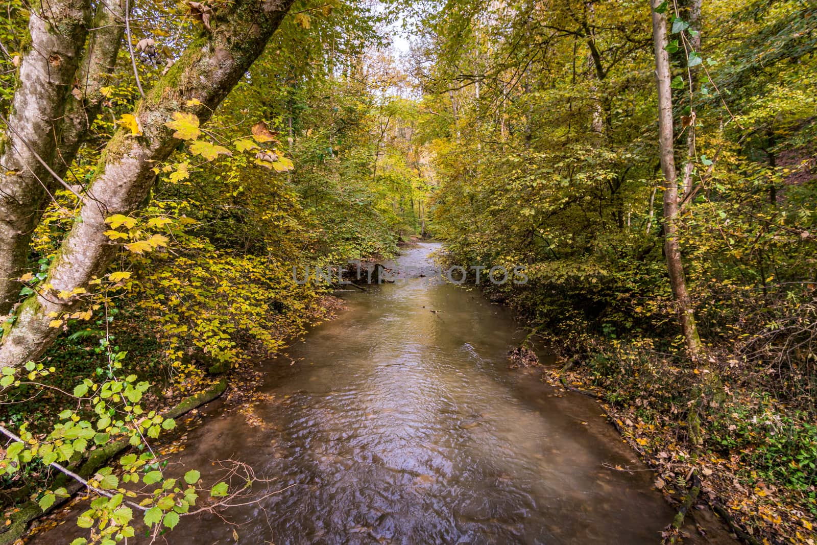 Fantastic autumn hike along the Aachtobel to the Hohenbodman observation tower by mindscapephotos