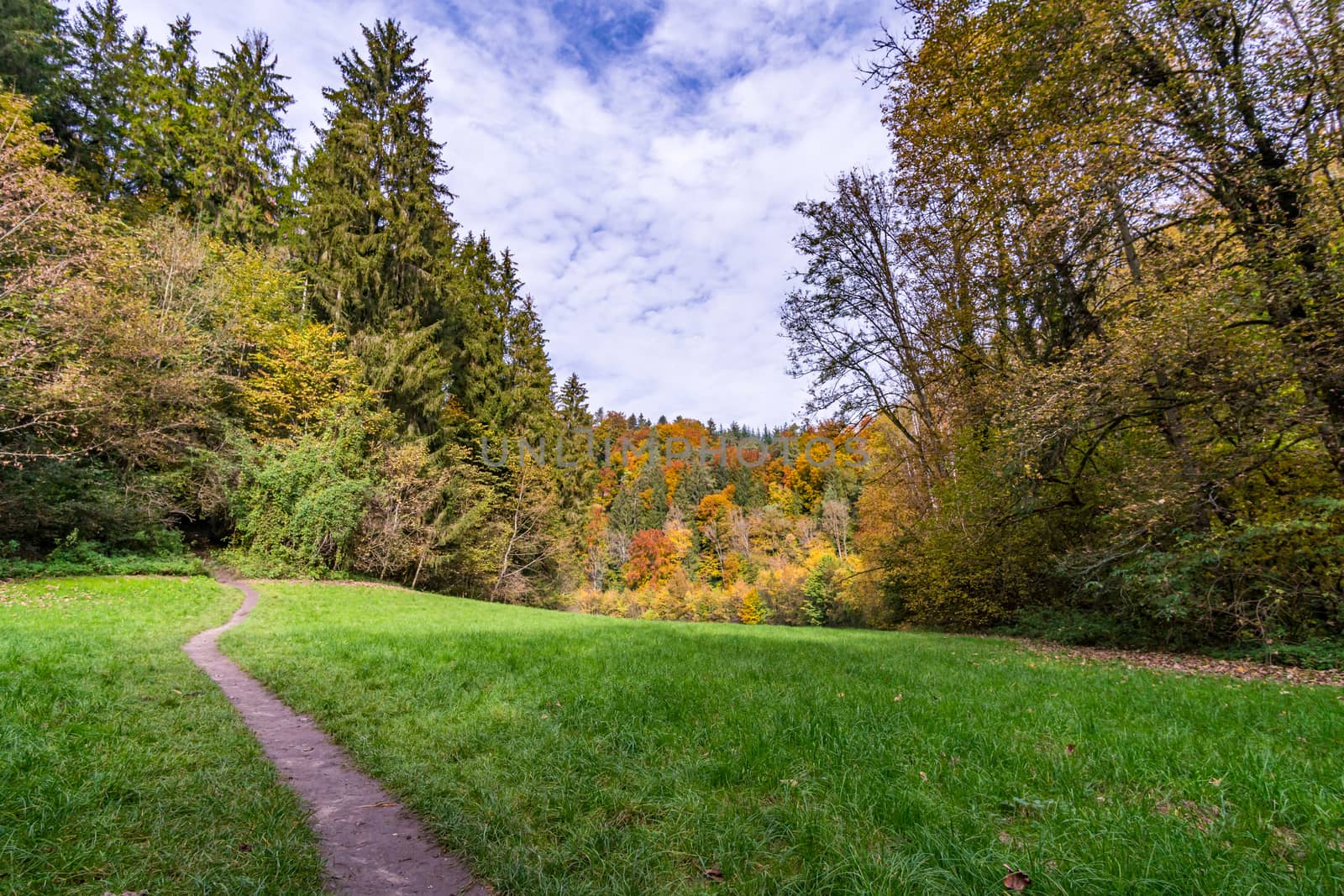 Fantastic autumn hike along the Aachtobel to the Hohenbodman observation tower by mindscapephotos