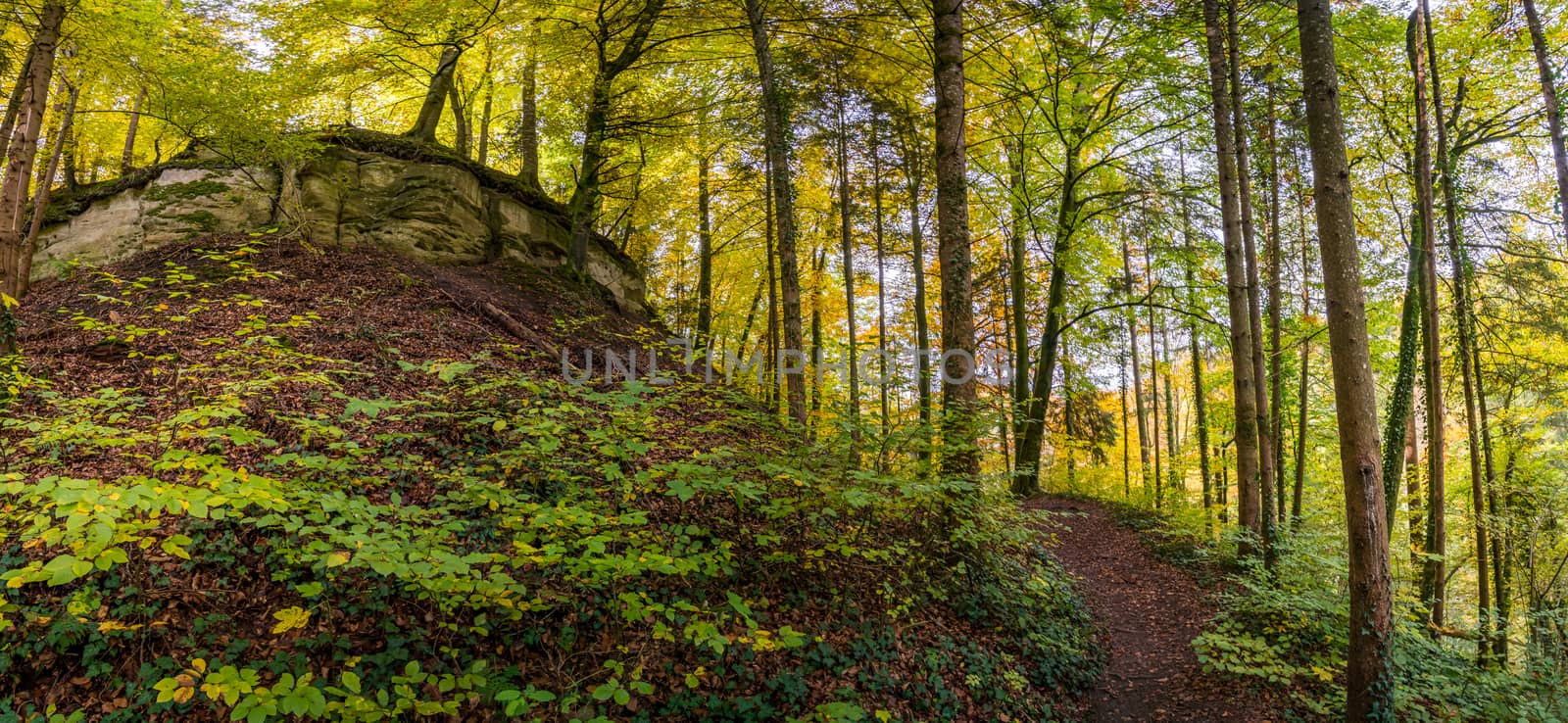 Fantastic autumn hike along the Aachtobel to the Hohenbodman observation tower by mindscapephotos