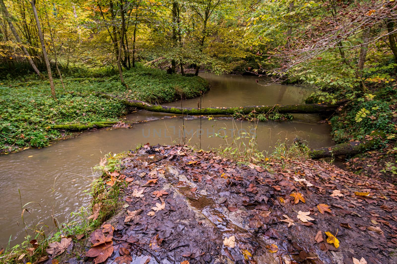 Fantastic autumn hike along the Aachtobel to the Hohenbodman observation tower by mindscapephotos