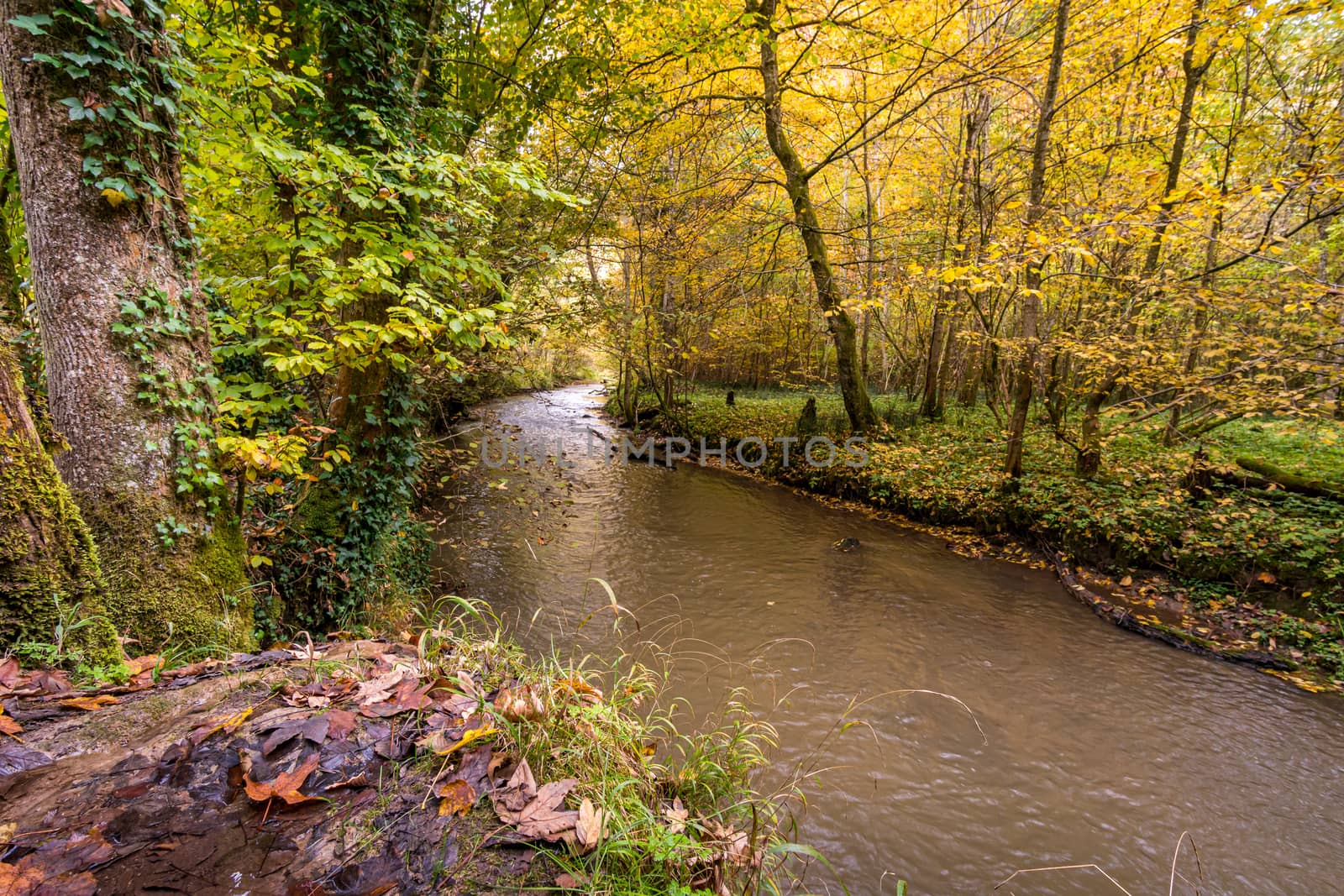 Fantastic autumn hike along the Aachtobel to the Hohenbodman observation tower by mindscapephotos