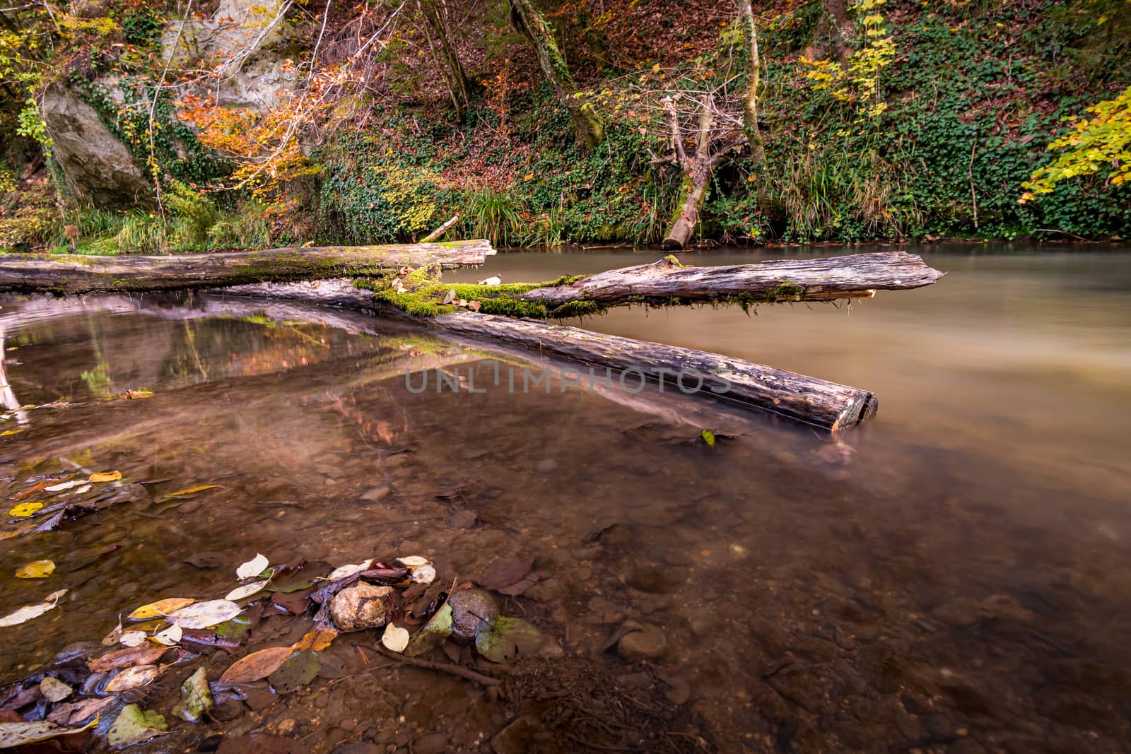 Fantastic autumn hike along the Aachtobel to the Hohenbodman observation tower by mindscapephotos