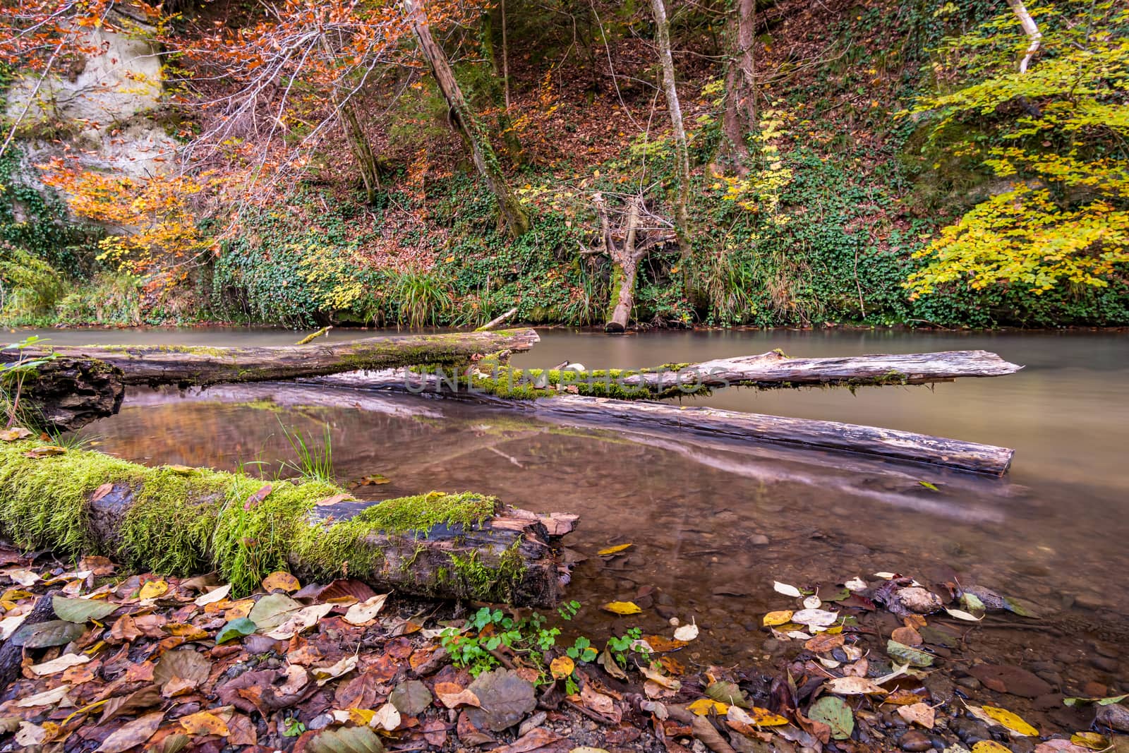 Fantastic autumn hike along the Aachtobel to the Hohenbodman observation tower by mindscapephotos