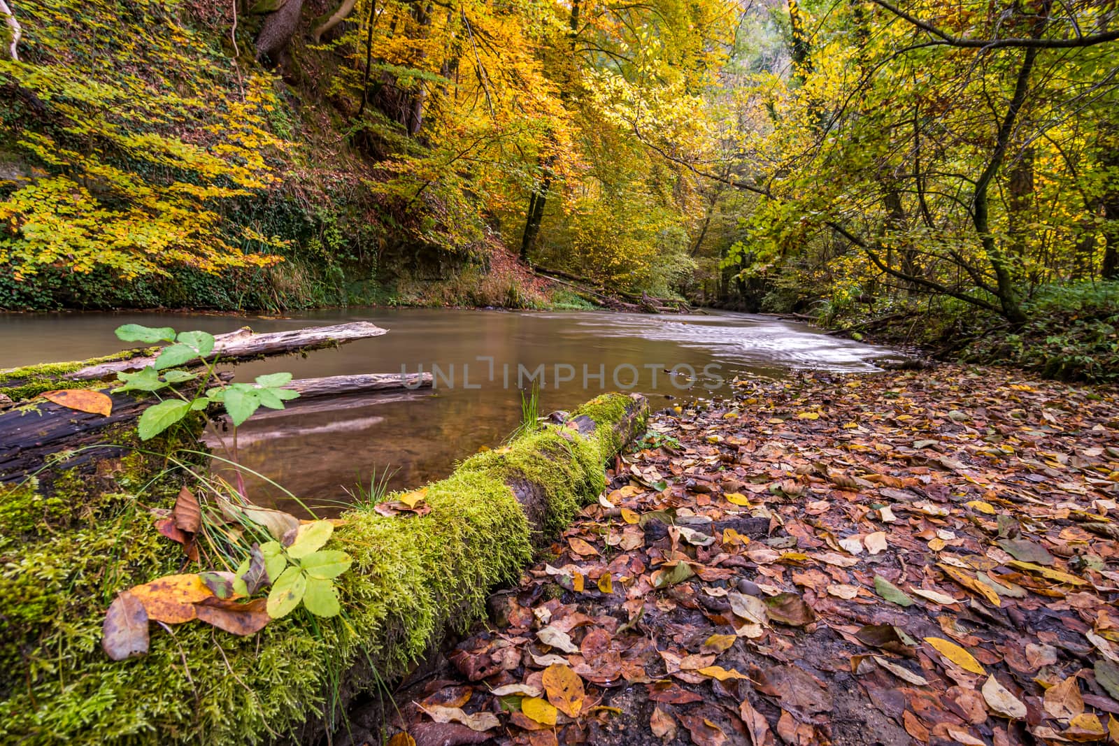 Fantastic autumn hike along the Aachtobel to the Hohenbodman observation tower by mindscapephotos