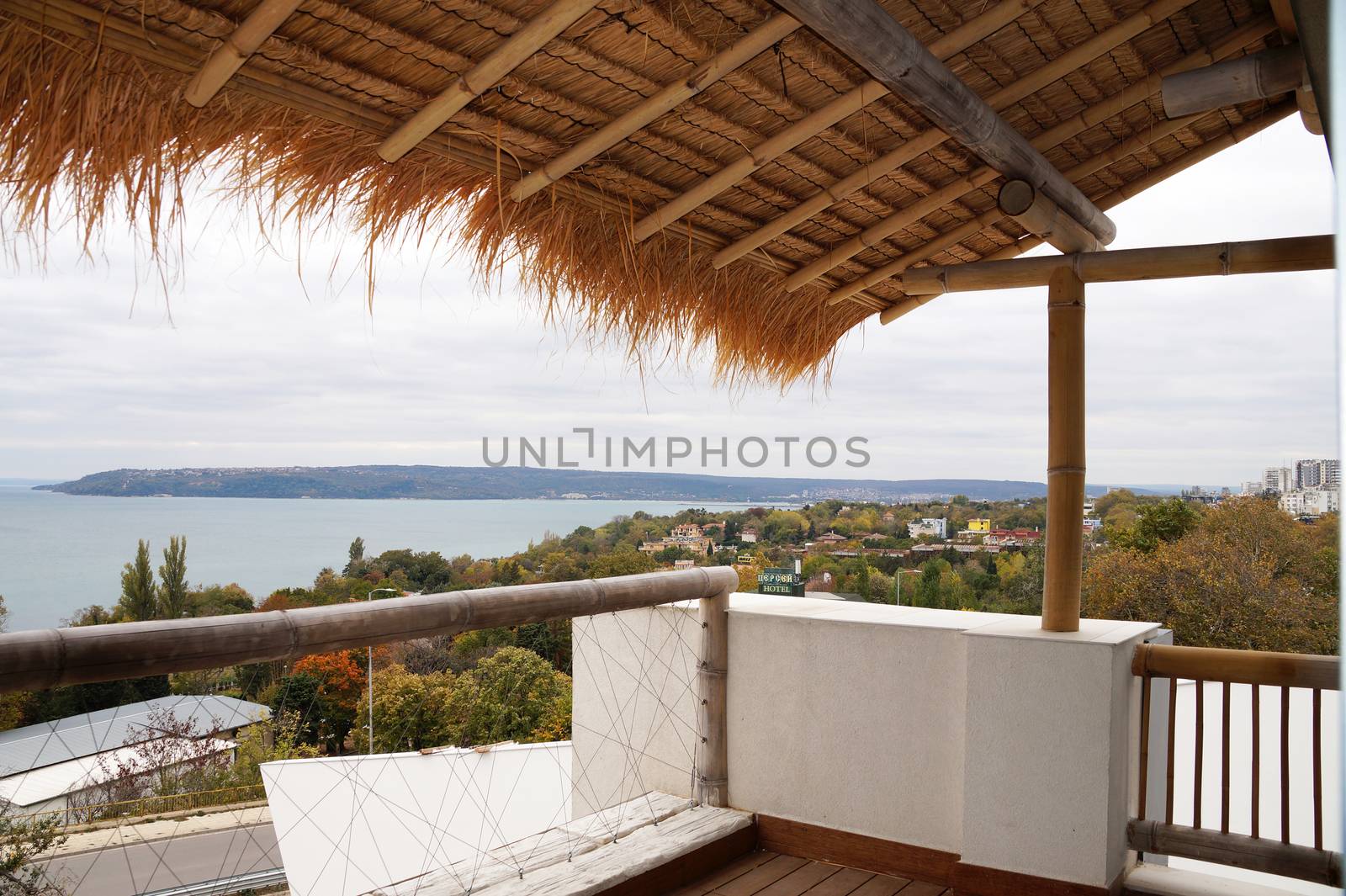 thatched roof terrace with sea view close up by Annado
