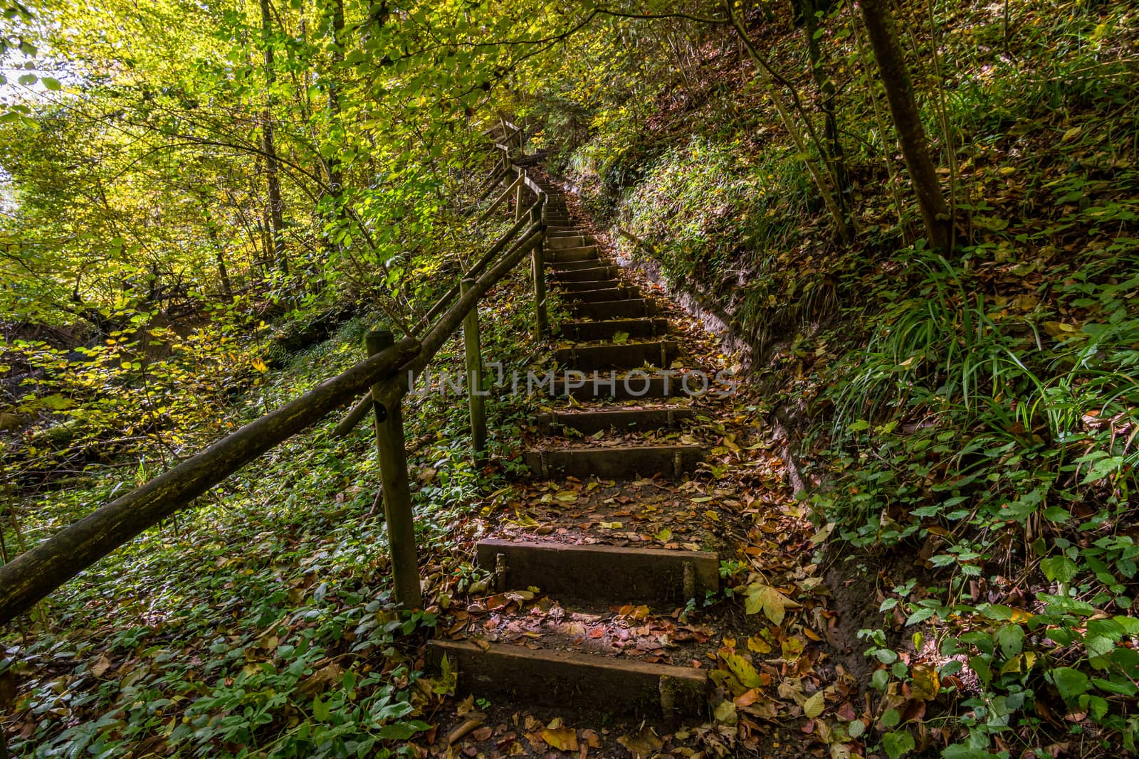 Fantastic autumn hike along the Aachtobel to the Hohenbodman observation tower by mindscapephotos