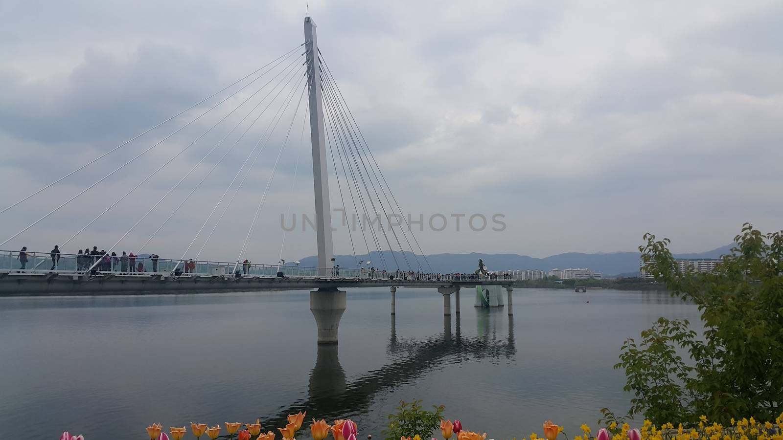 A beautiful view of Sky walk over Soyang Lake in Chuncheon city. by Photochowk