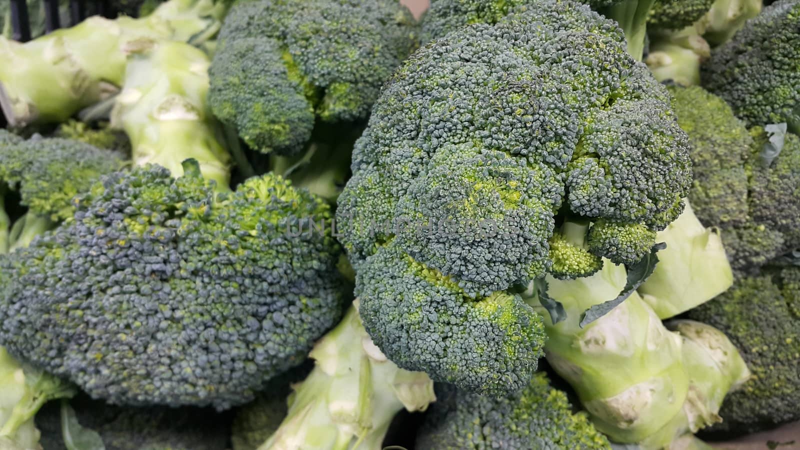 Green fresh broccoli pile placed in market for sale. by Photochowk