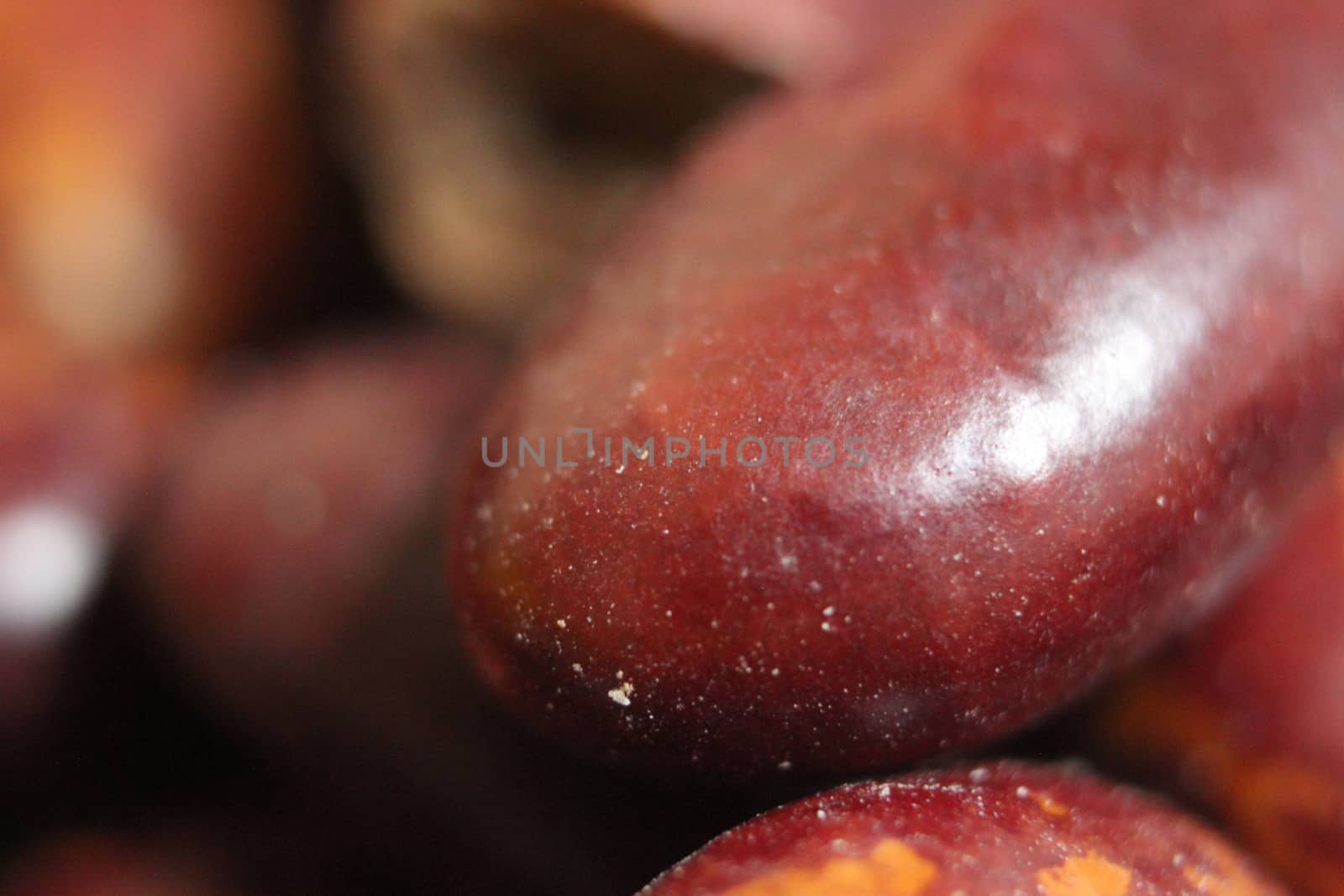 close up picture of baked red kidney bean served with green salad by Photochowk