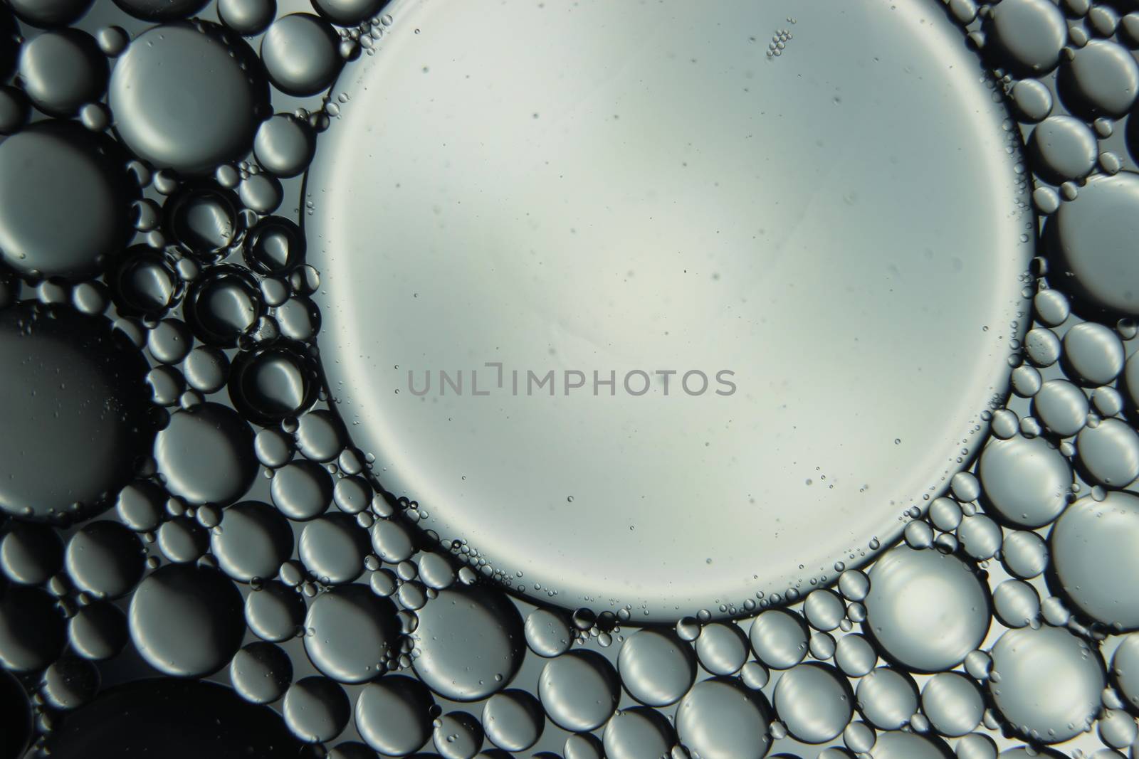 abstract macro background of oil circles floating over water surface . Macro closeup view of bubbles on water . oil bubbles in the water macro photographic background