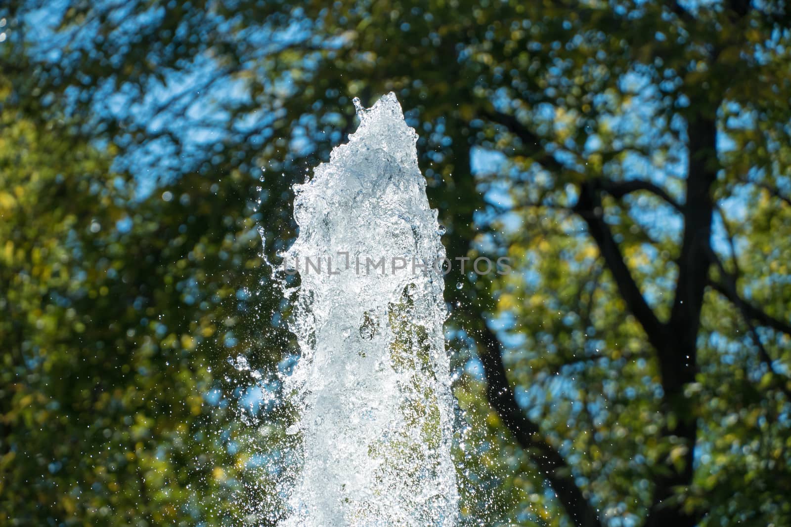 Abstract of water. Water splash close-up.Frozen water drops on t by YevgeniySam