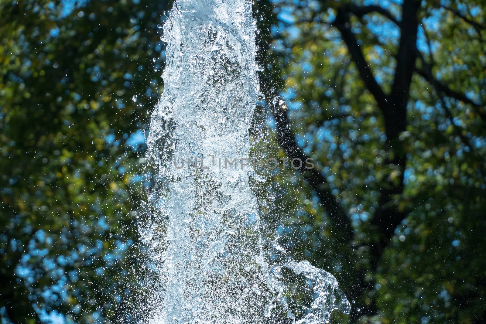 Abstract of water. Water splash close-up.Frozen water drops on the background of green trees.The slow dripping of the liquid with the air bubbles.Nature background or Wallpaper.Frozen liquid splashes