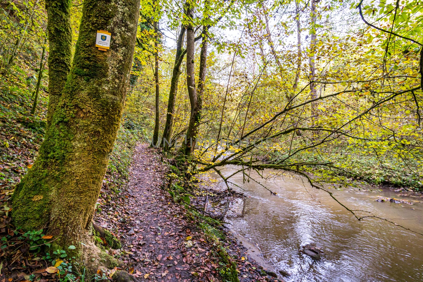 Fantastic autumn hike along the Aachtobel to the Hohenbodman observation tower by mindscapephotos