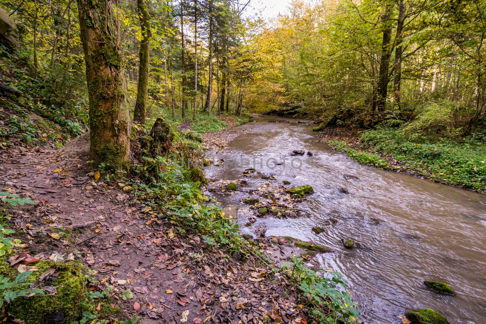 Fantastic autumn hike along the Aachtobel to the Hohenbodman observation tower by mindscapephotos