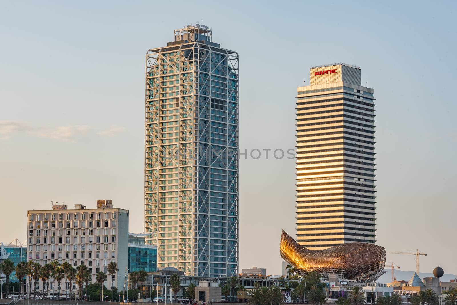 Cityscpae in La Barceloneta lights in the city of Barcleona in S by martinscphoto