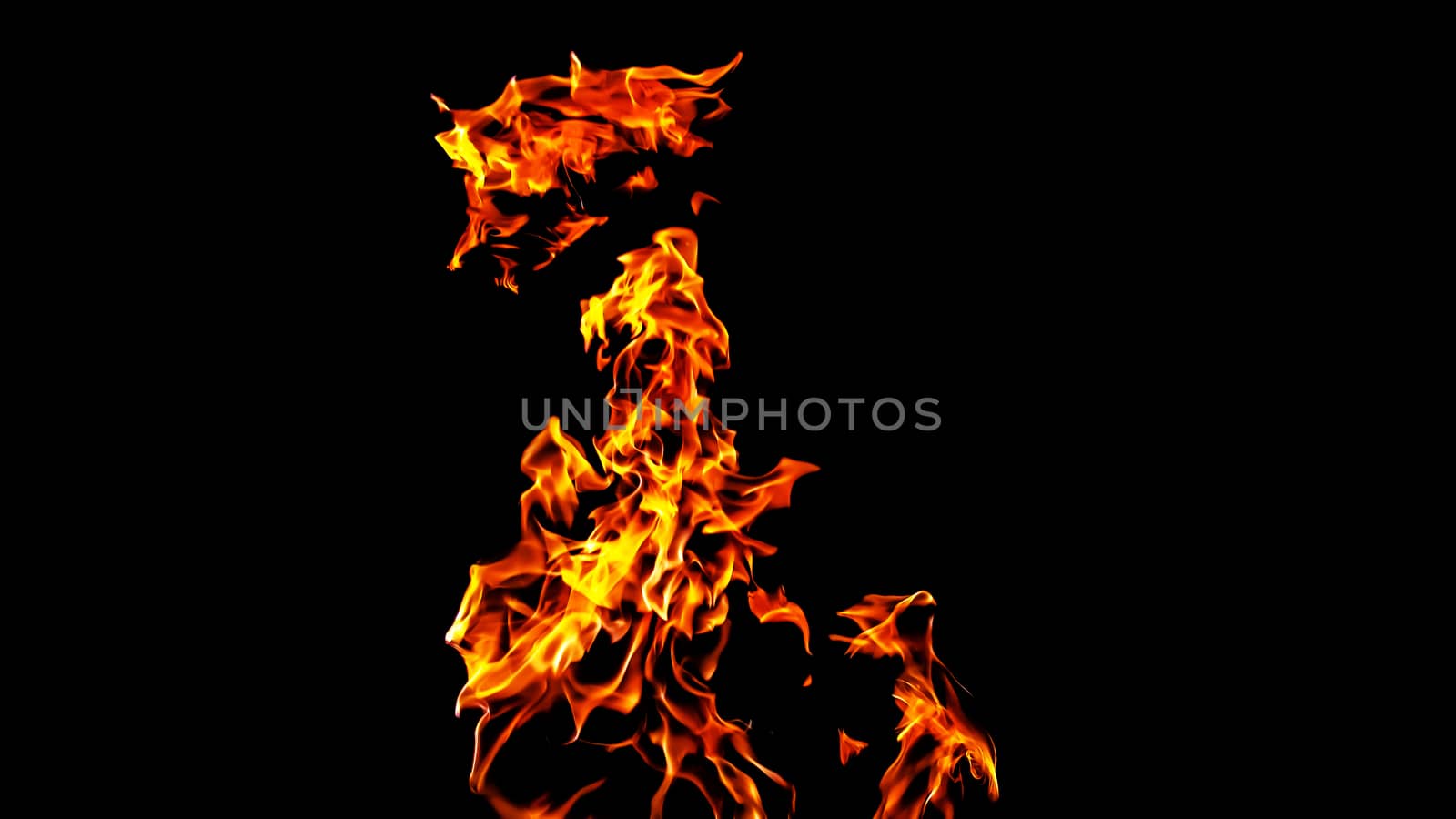 Fire flames on black background isolated. Burning gas or gasoline burns with fire and flames. Flaming burning sparks close-up, fire patterns. Infernal glow of fire in the dark with copy-space