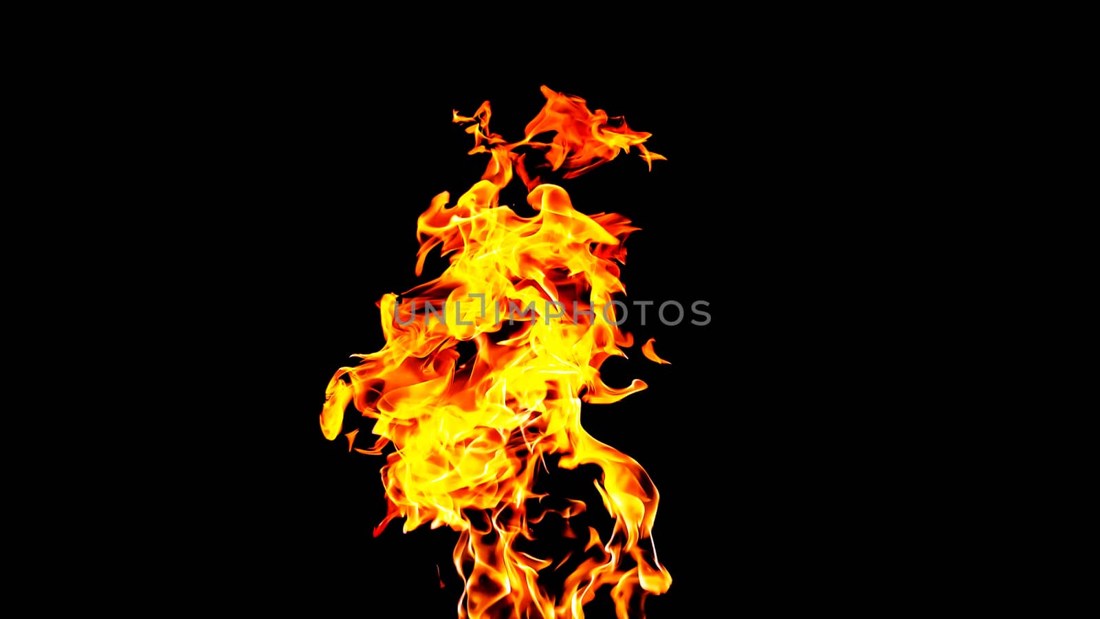 Fire flames on black background isolated. Burning gas or gasolin by YevgeniySam