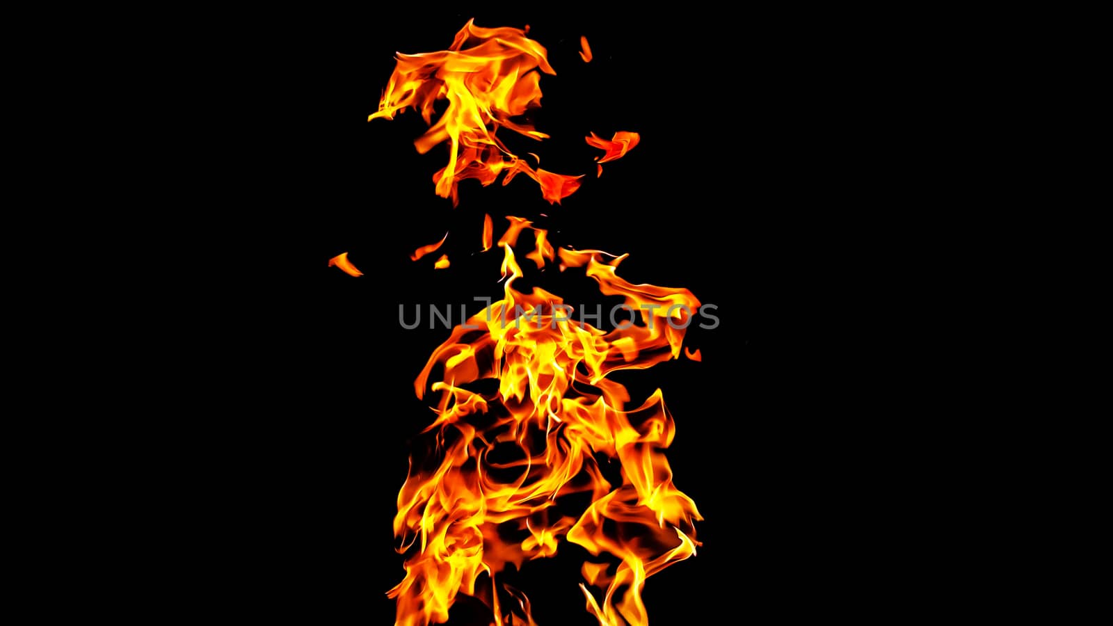 Fire flames on black background isolated. Burning gas or gasolin by YevgeniySam