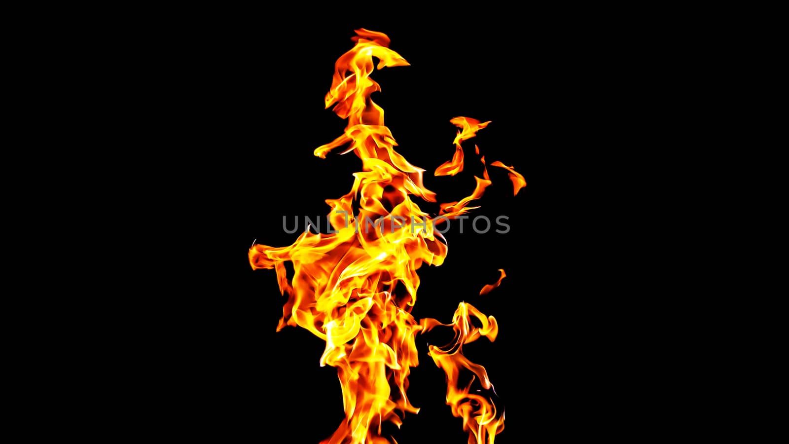 Fire flames on black background isolated. Burning gas or gasolin by YevgeniySam