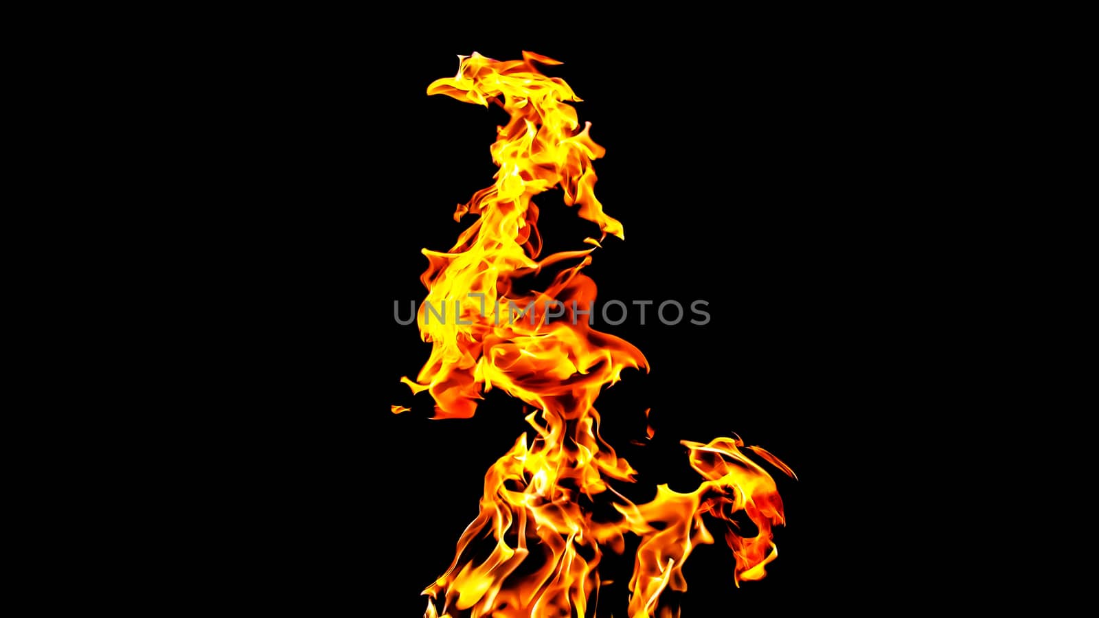 Fire flames on black background isolated. Burning gas or gasolin by YevgeniySam